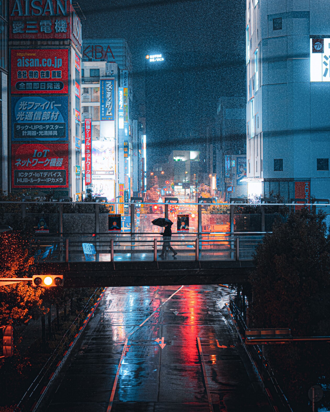 Akihabara, Roam In The Night City; A Fascinating Photography Series By Junya Watanabe (17)
