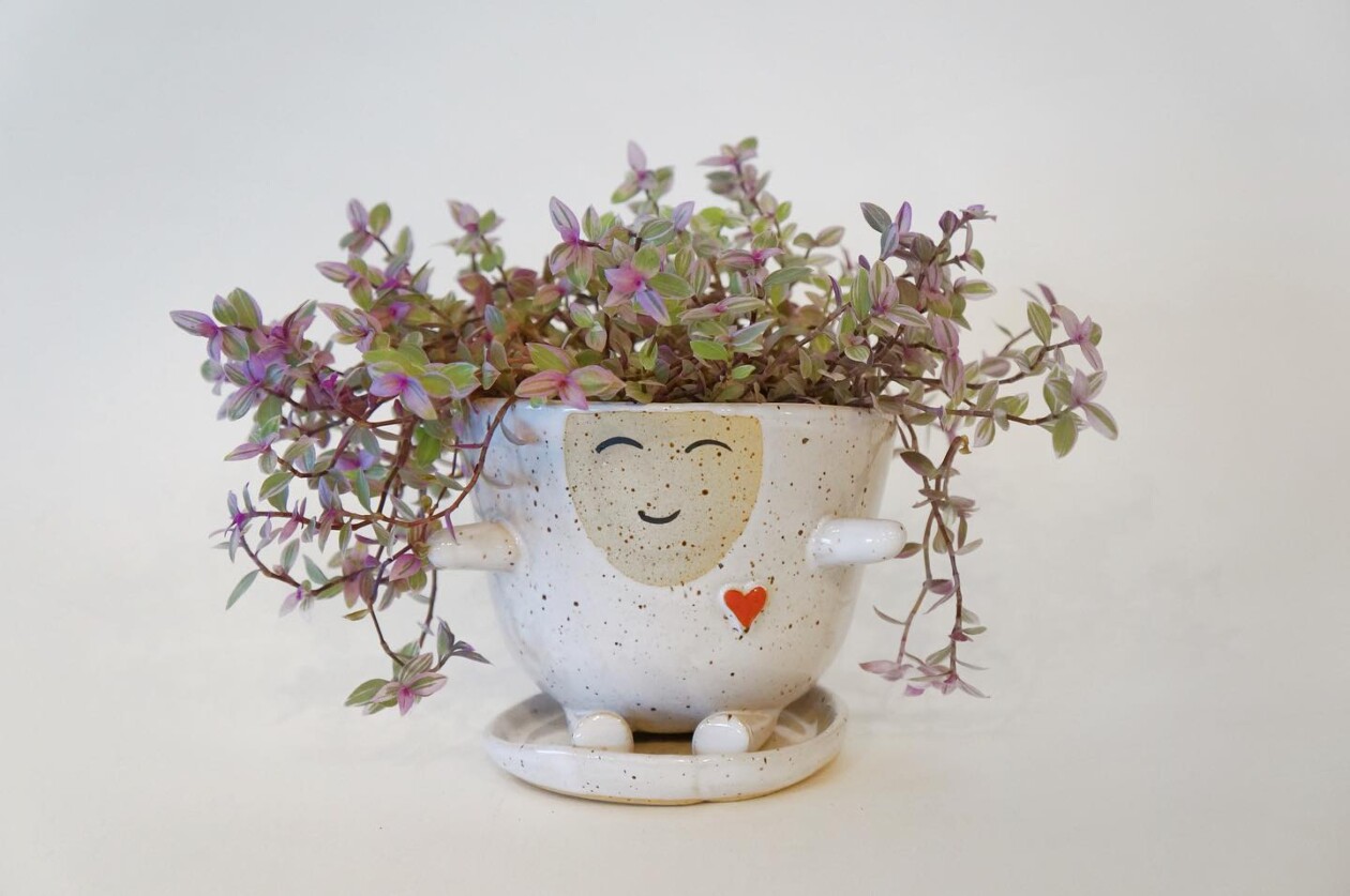 Amusing And Adorable Anthropomorphic Planters By Abby Ozaltug (10)