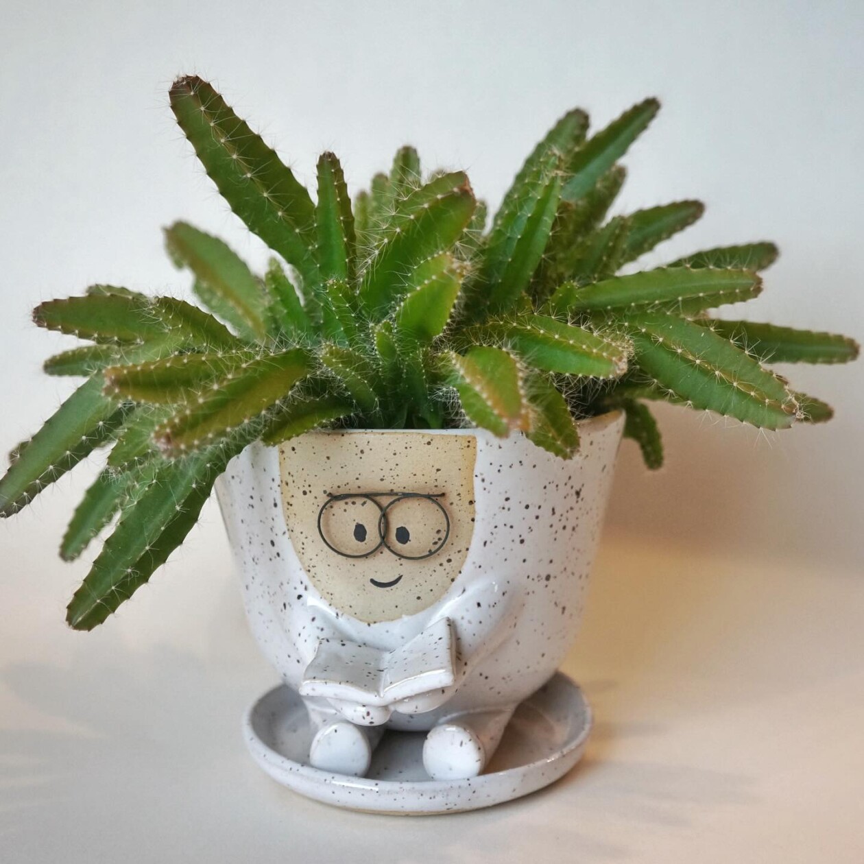 Amusing And Adorable Anthropomorphic Planters By Abby Ozaltug (11)
