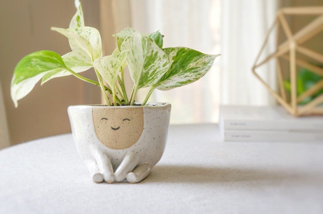 Amusing And Adorable Anthropomorphic Planters By Abby Ozaltug (12)