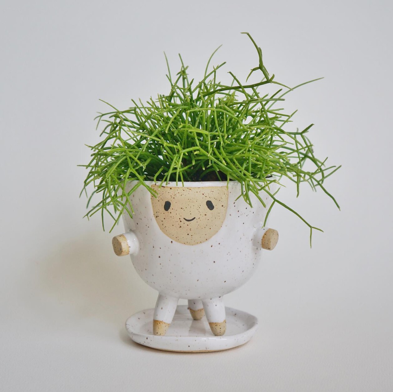 Amusing And Adorable Anthropomorphic Planters By Abby Ozaltug (18)