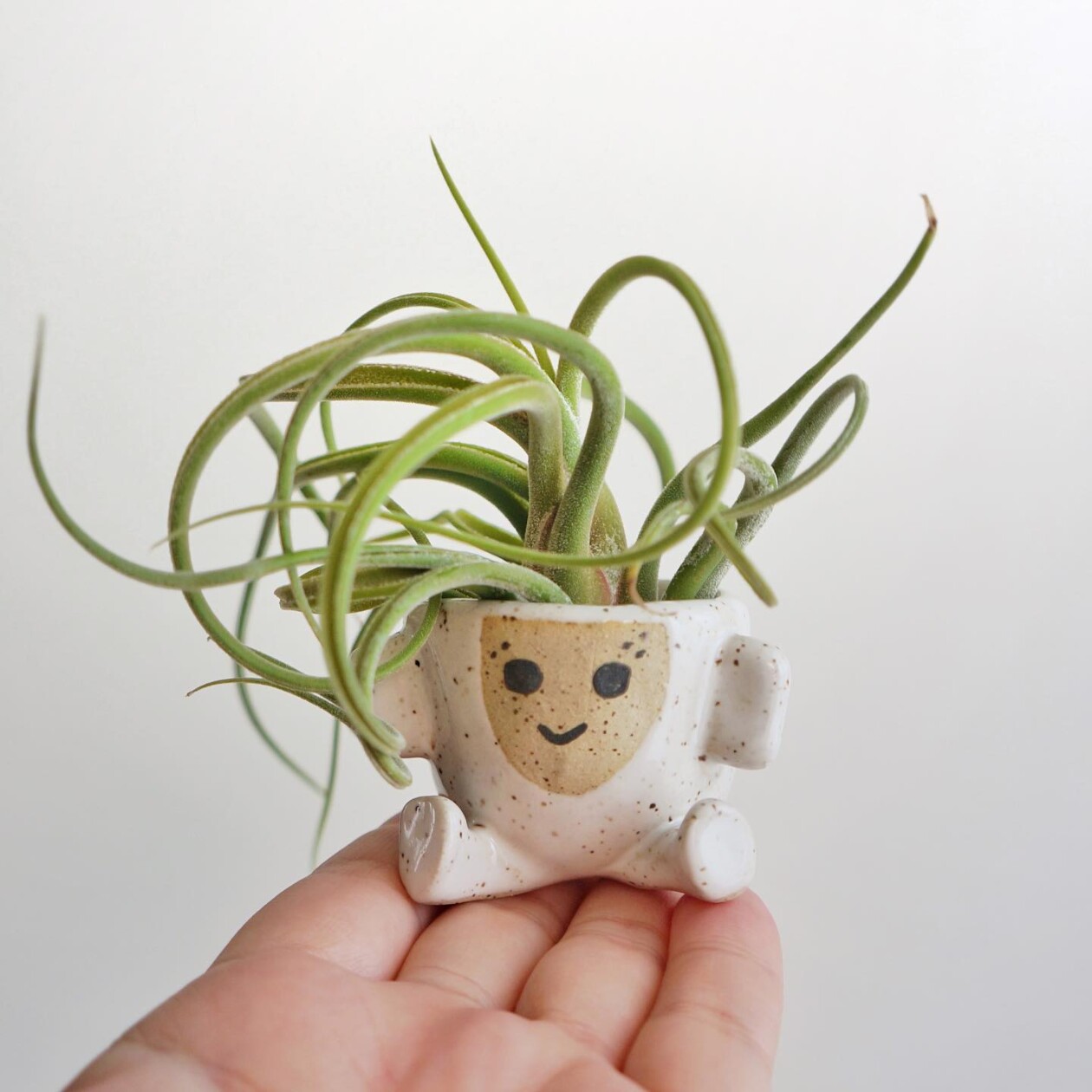 Amusing And Adorable Anthropomorphic Planters By Abby Ozaltug (2)