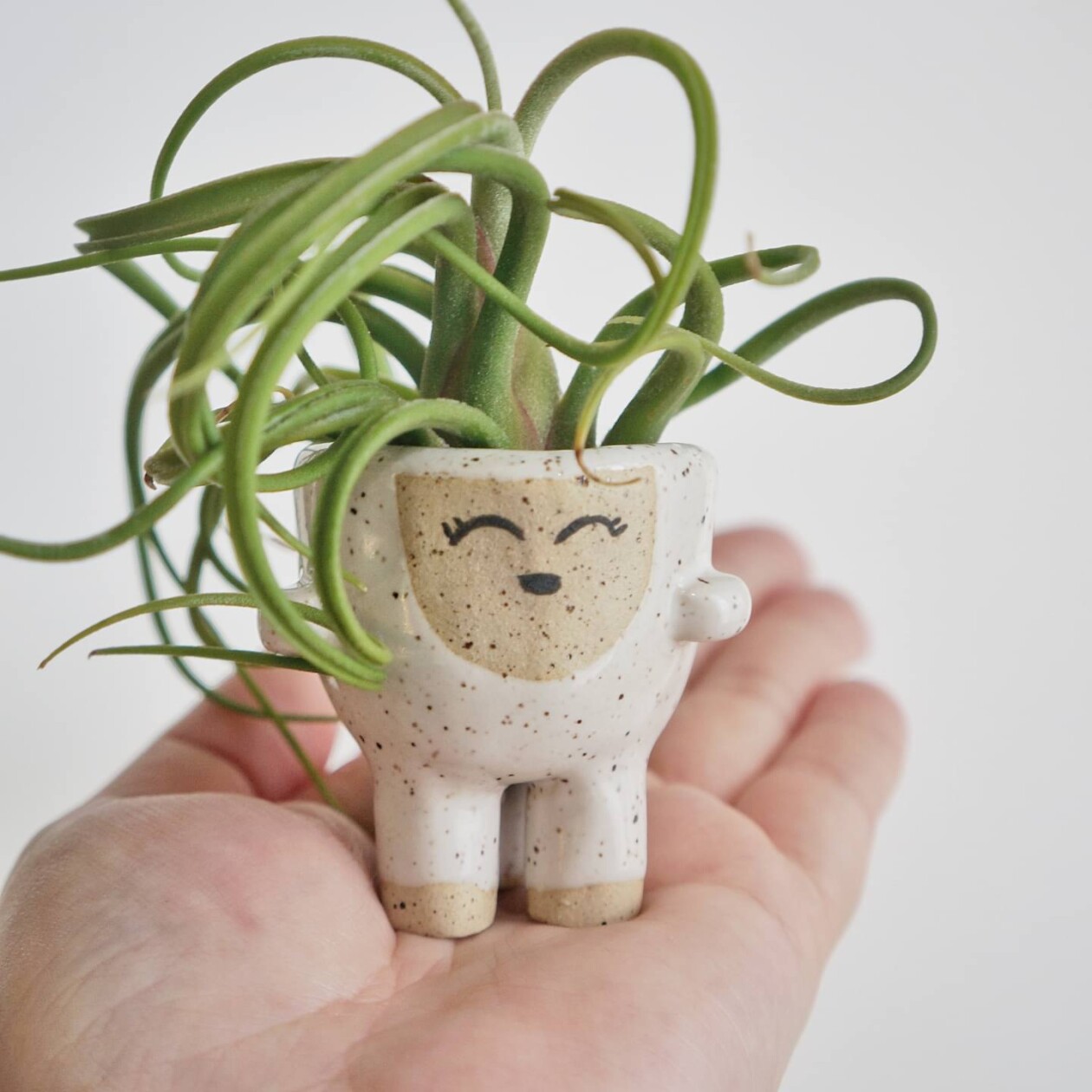 Amusing And Adorable Anthropomorphic Planters By Abby Ozaltug (3)