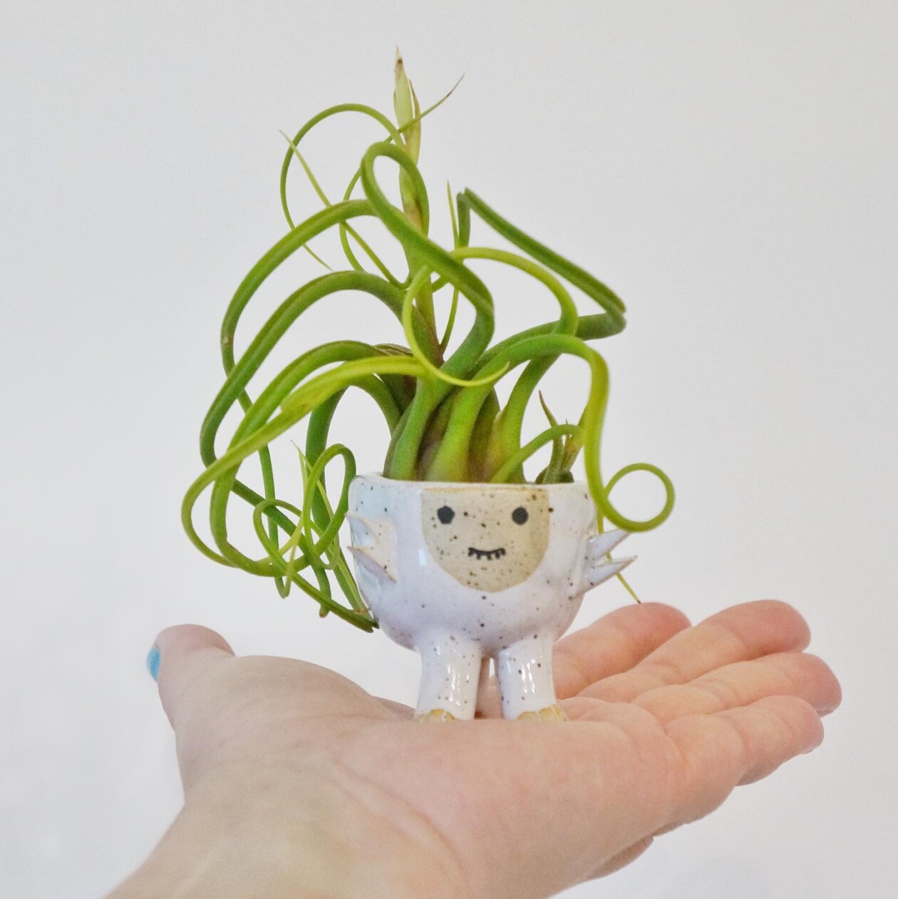 Amusing And Adorable Anthropomorphic Planters By Abby Ozaltug (7)