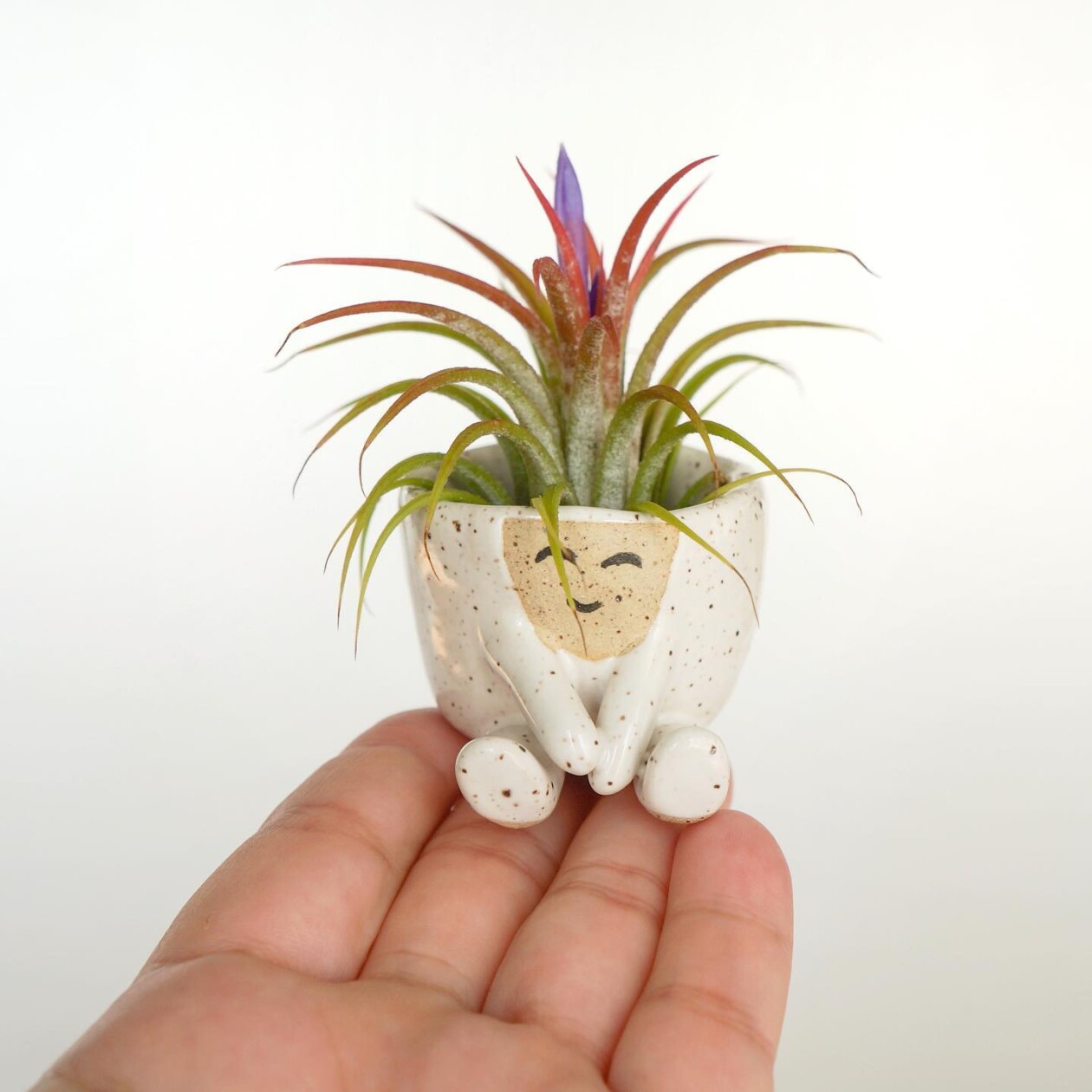 Amusing And Adorable Anthropomorphic Planters By Abby Ozaltug (9)