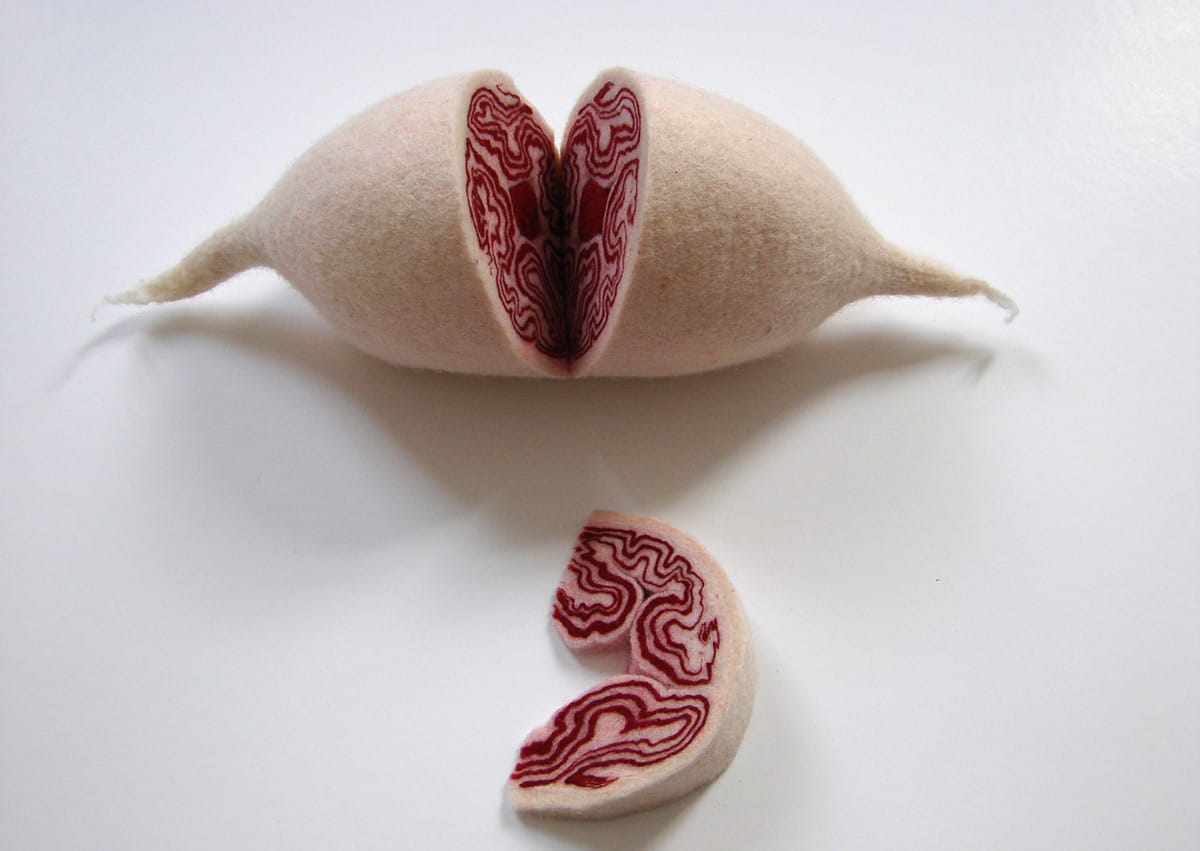 Anatomical Sculptures Made From Zippers, Quilted Fabric, And Felt By Élodie Antoine (1)