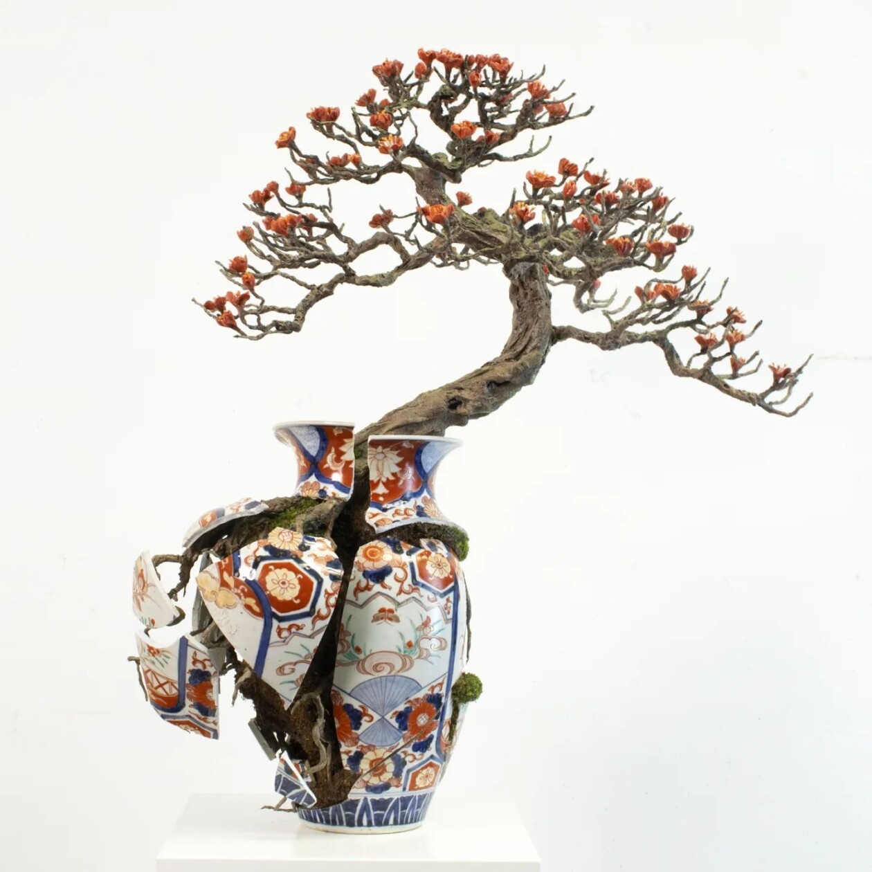 Bonsai Tree Sculptures Beautifully Bursting Through Broken Porcelain Vessels In Patrick Bergsma's Artworks (13)