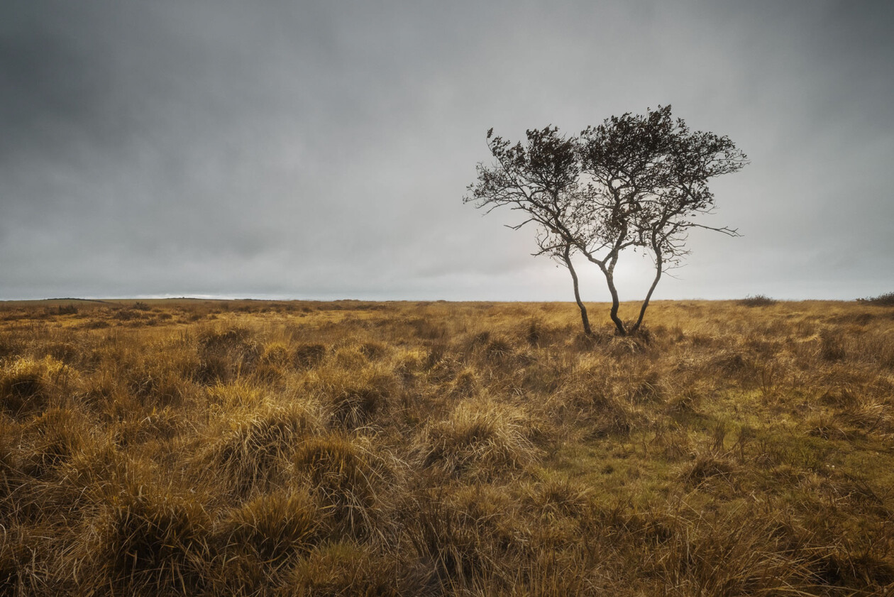 England, Scotland & Ireland, An Ethereal Photography Series By Jennifer Esseiva (14)