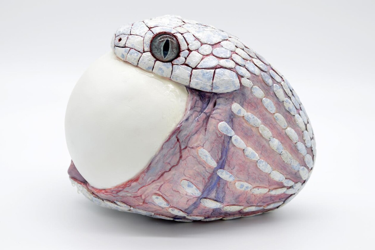 Fantastic Eggshell Sculptures Of Earth's Most Ancient Denizens By Sarah Lee (13)