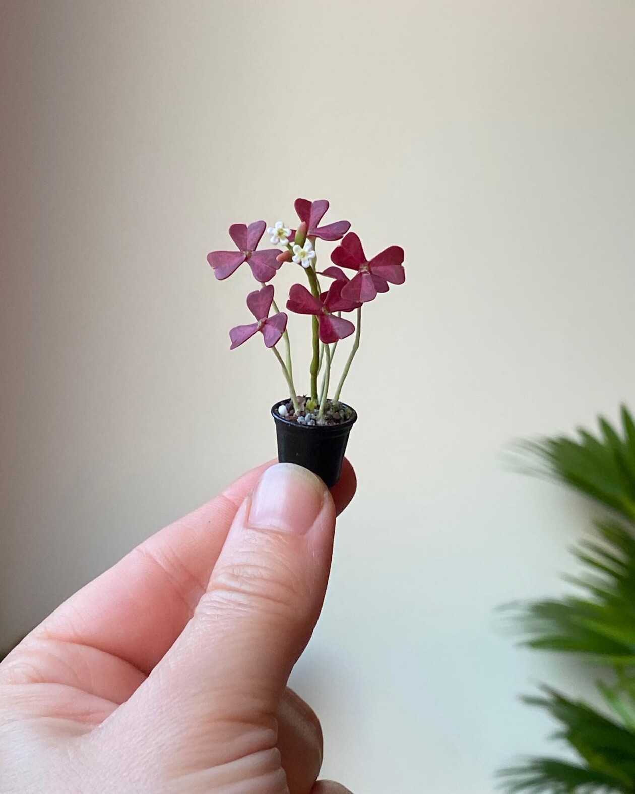 Handmade Miniature Polymer Clay Plants By Astrid Wilk (1)