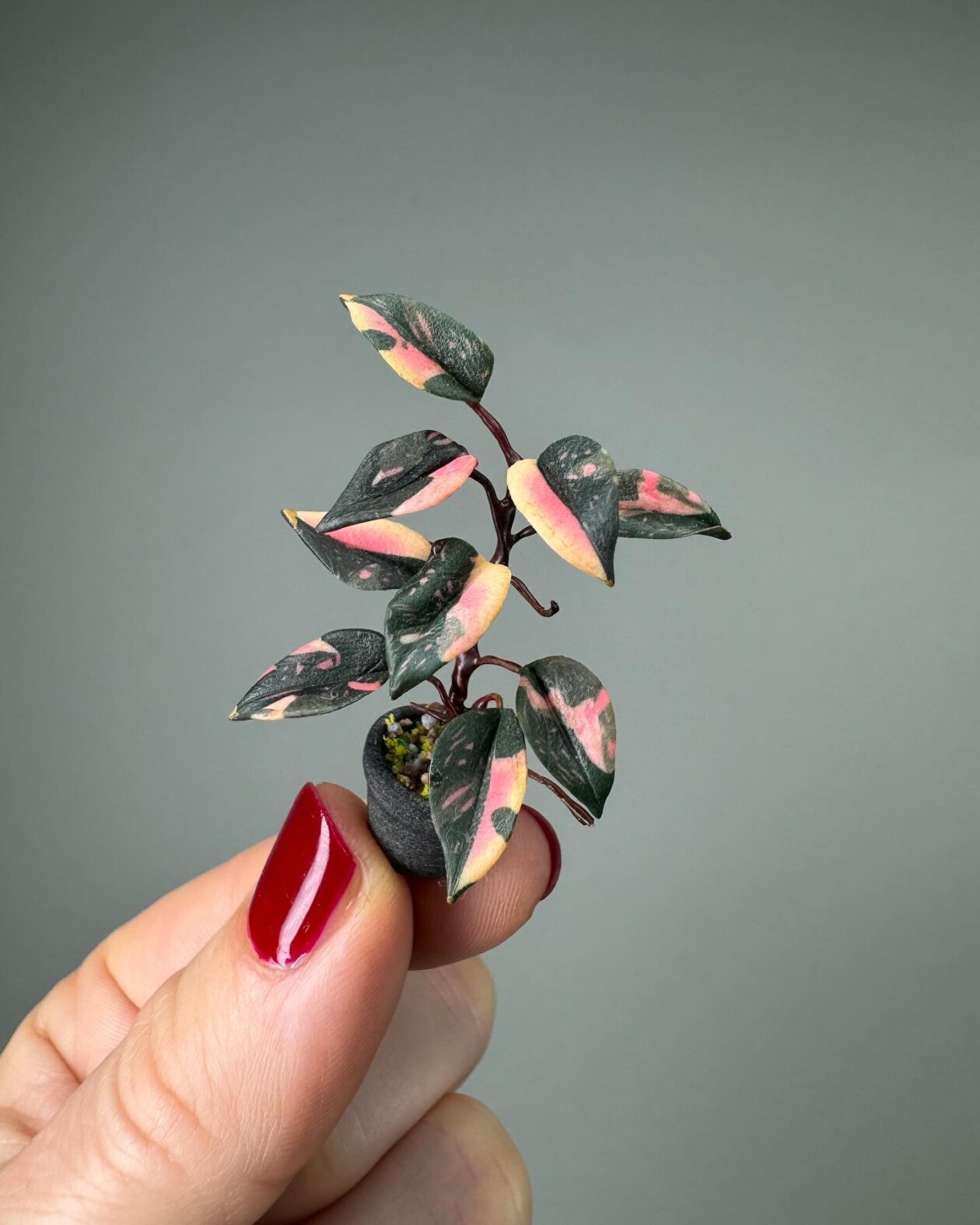 Handmade Miniature Polymer Clay Plants By Astrid Wilk (13)