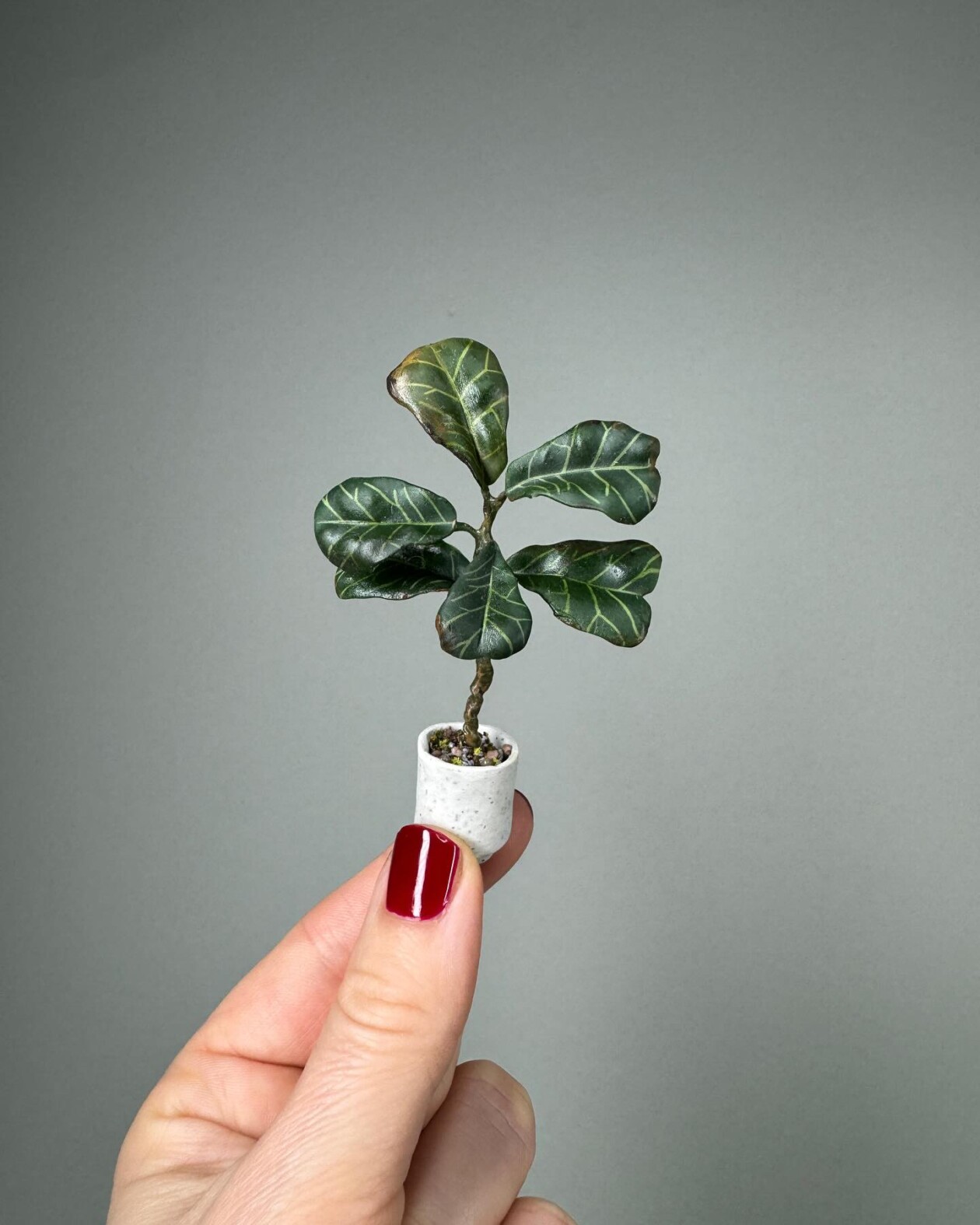 Handmade Miniature Polymer Clay Plants By Astrid Wilk (14)