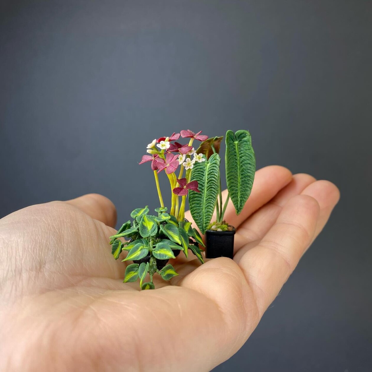 Handmade Miniature Polymer Clay Plants By Astrid Wilk (17)