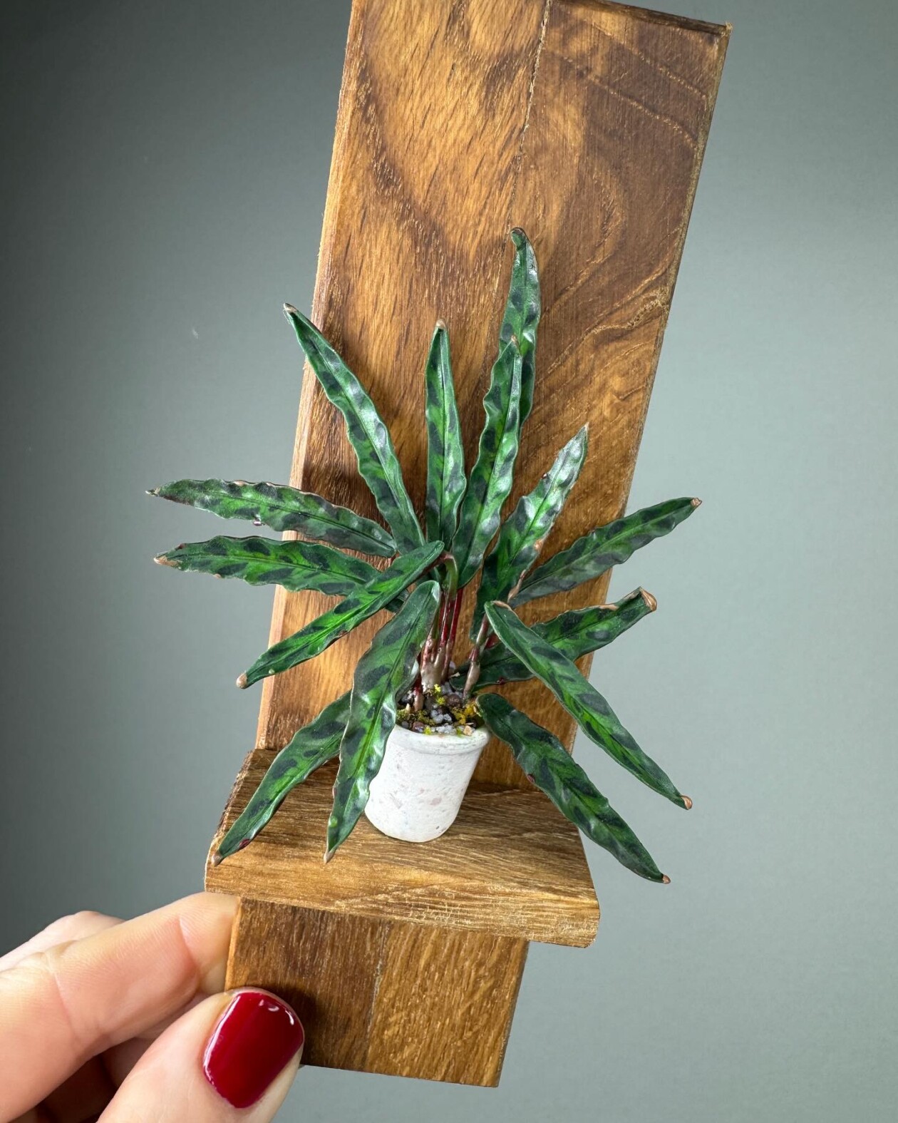 Handmade Miniature Polymer Clay Plants By Astrid Wilk (18)