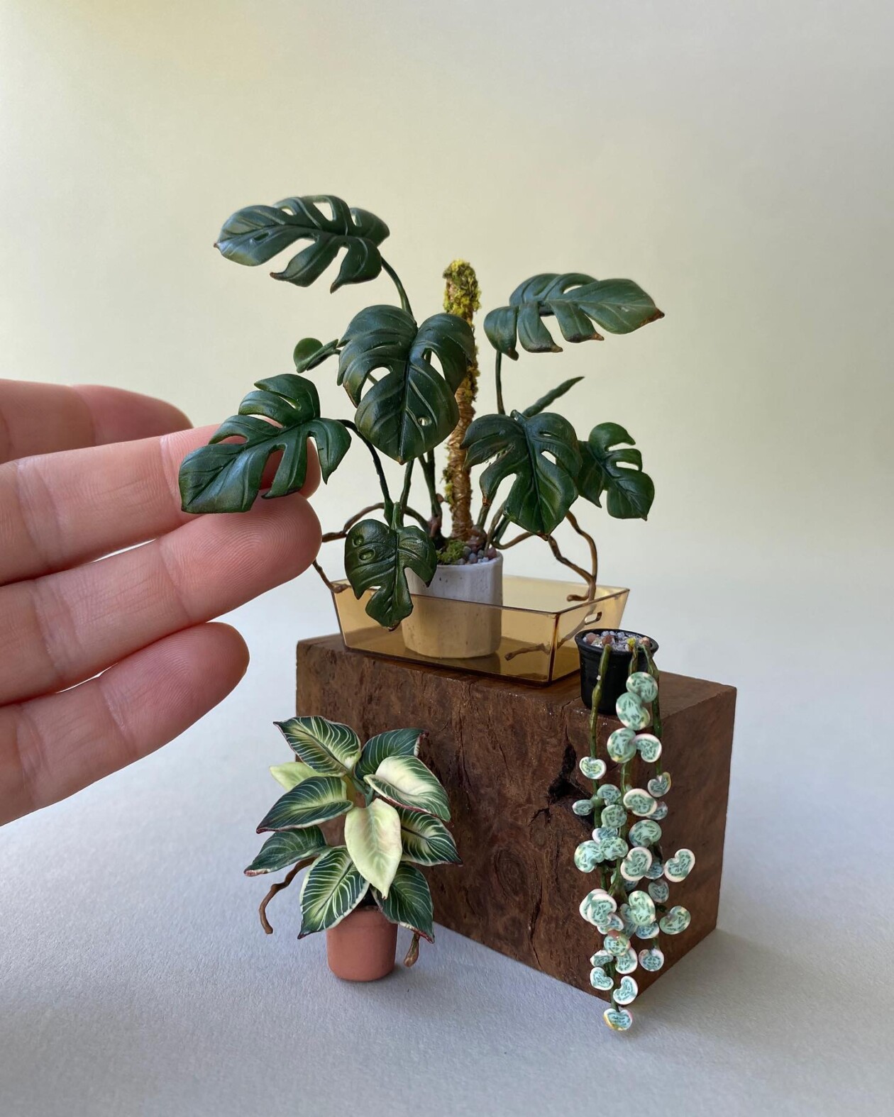 Handmade Miniature Polymer Clay Plants By Astrid Wilk (2)