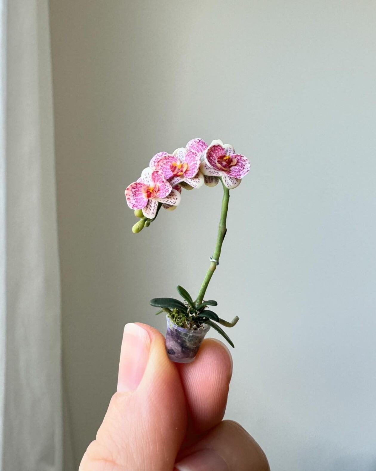 Handmade Miniature Polymer Clay Plants By Astrid Wilk (24)