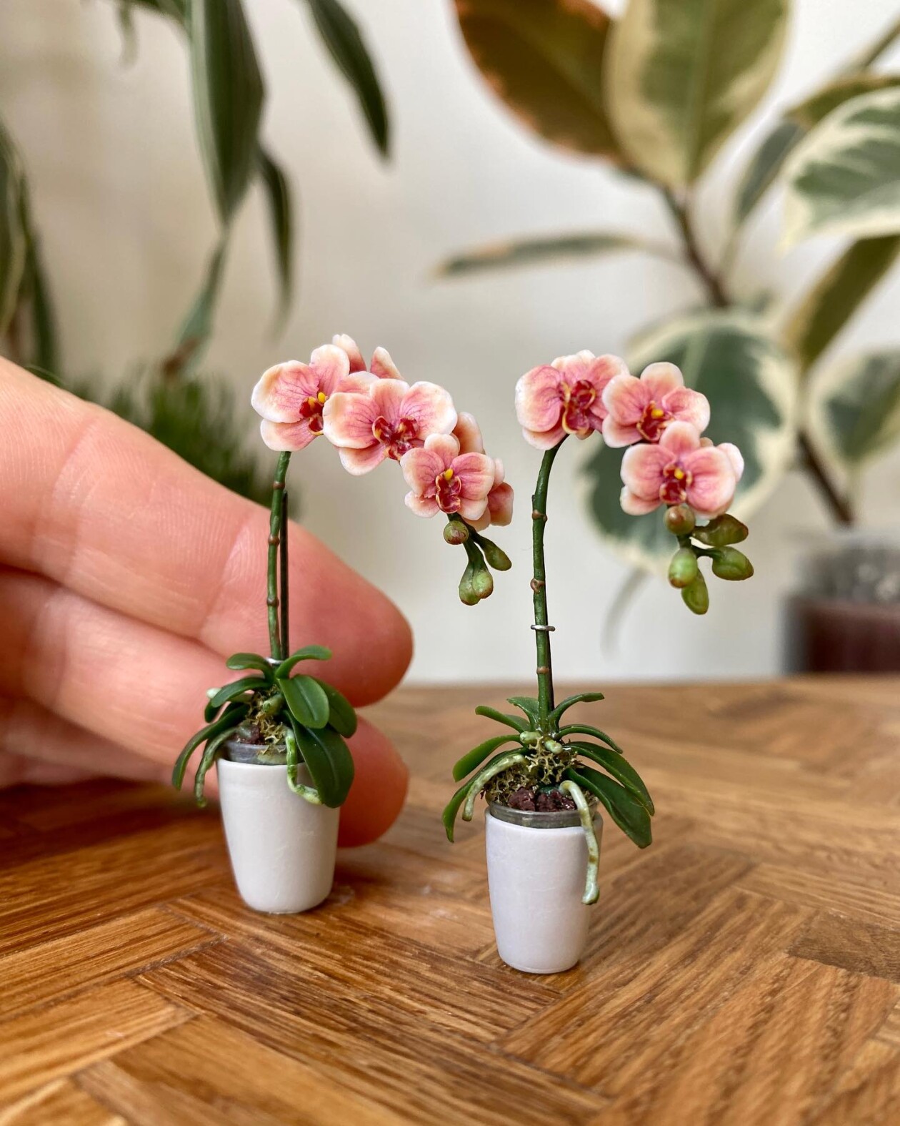 Handmade Miniature Polymer Clay Plants By Astrid Wilk (3)