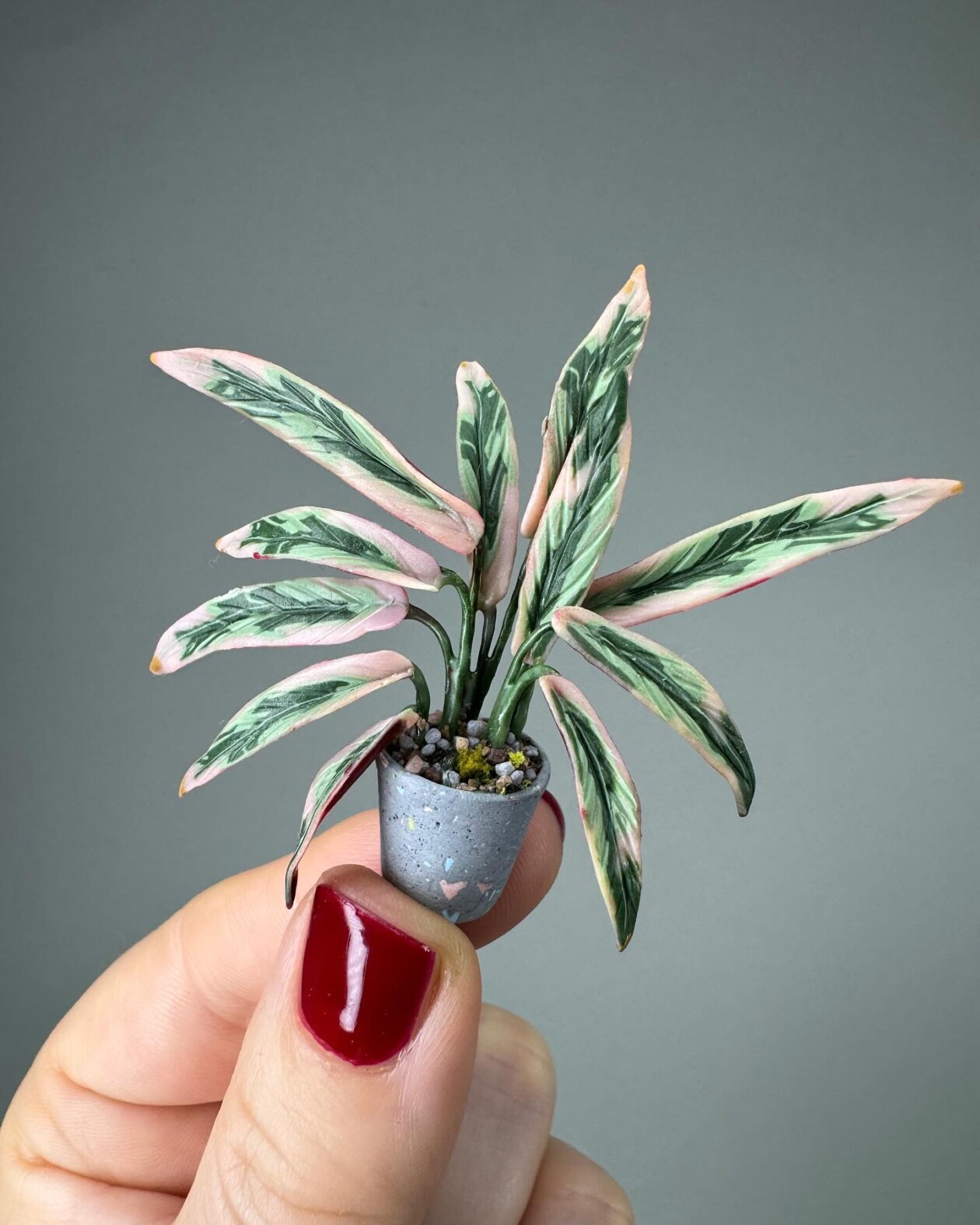 Handmade Miniature Polymer Clay Plants By Astrid Wilk (7)