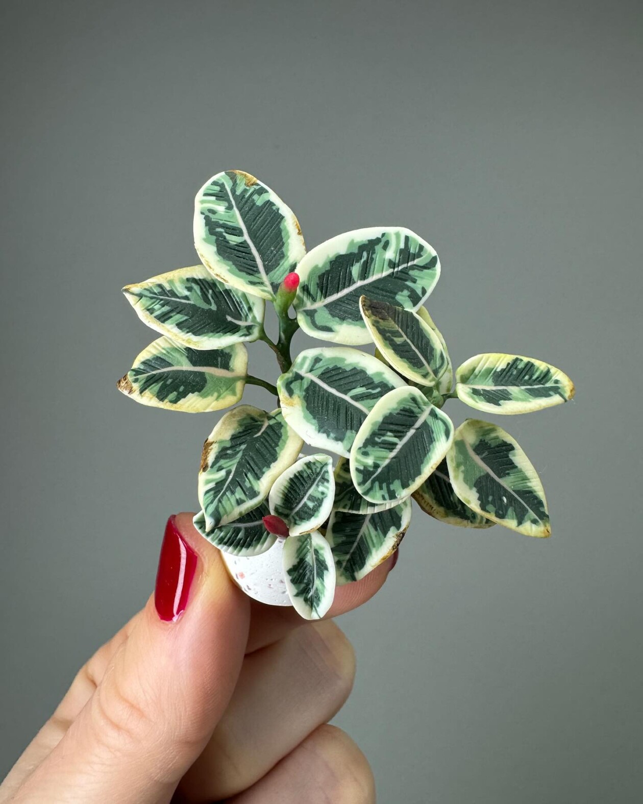 Handmade Miniature Polymer Clay Plants By Astrid Wilk (8)