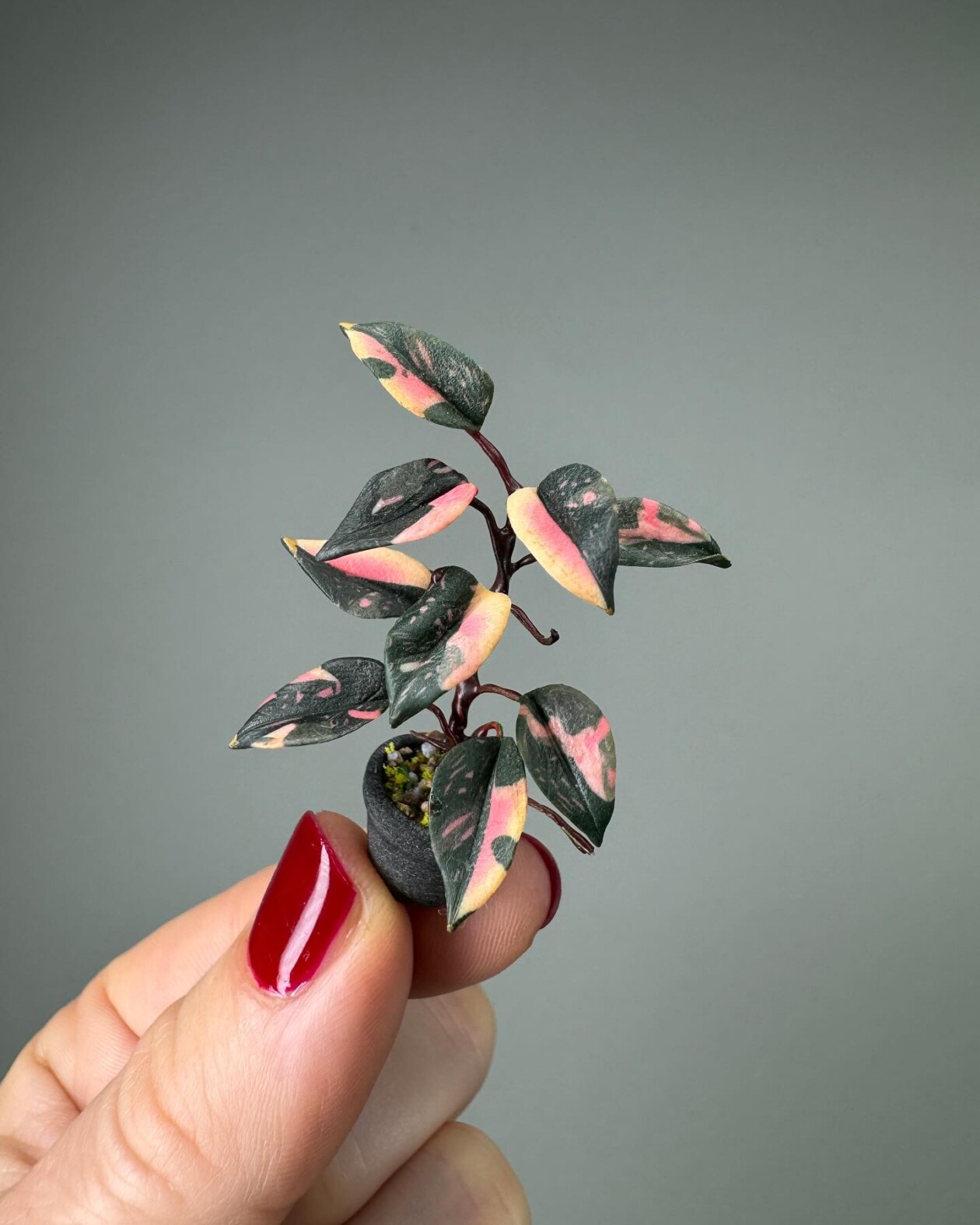 Handmade Miniature Polymer Clay Plants By Astrid Wilk (9)