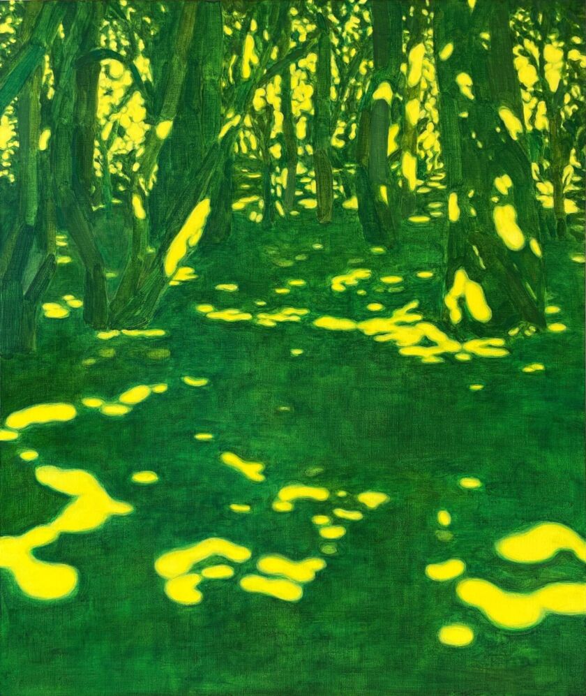 Dualities Using Shadow Duri Baek: tranquil light and shadow figurative paintings