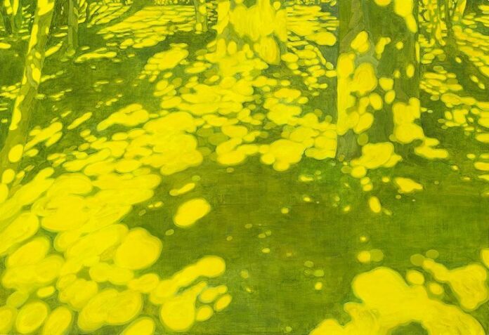 Dualities Using Shadow Duri Baek: tranquil light and shadow figurative paintings