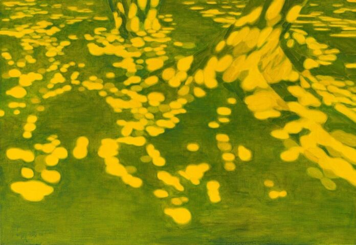 Dualities Using Shadow Duri Baek: tranquil light and shadow figurative paintings