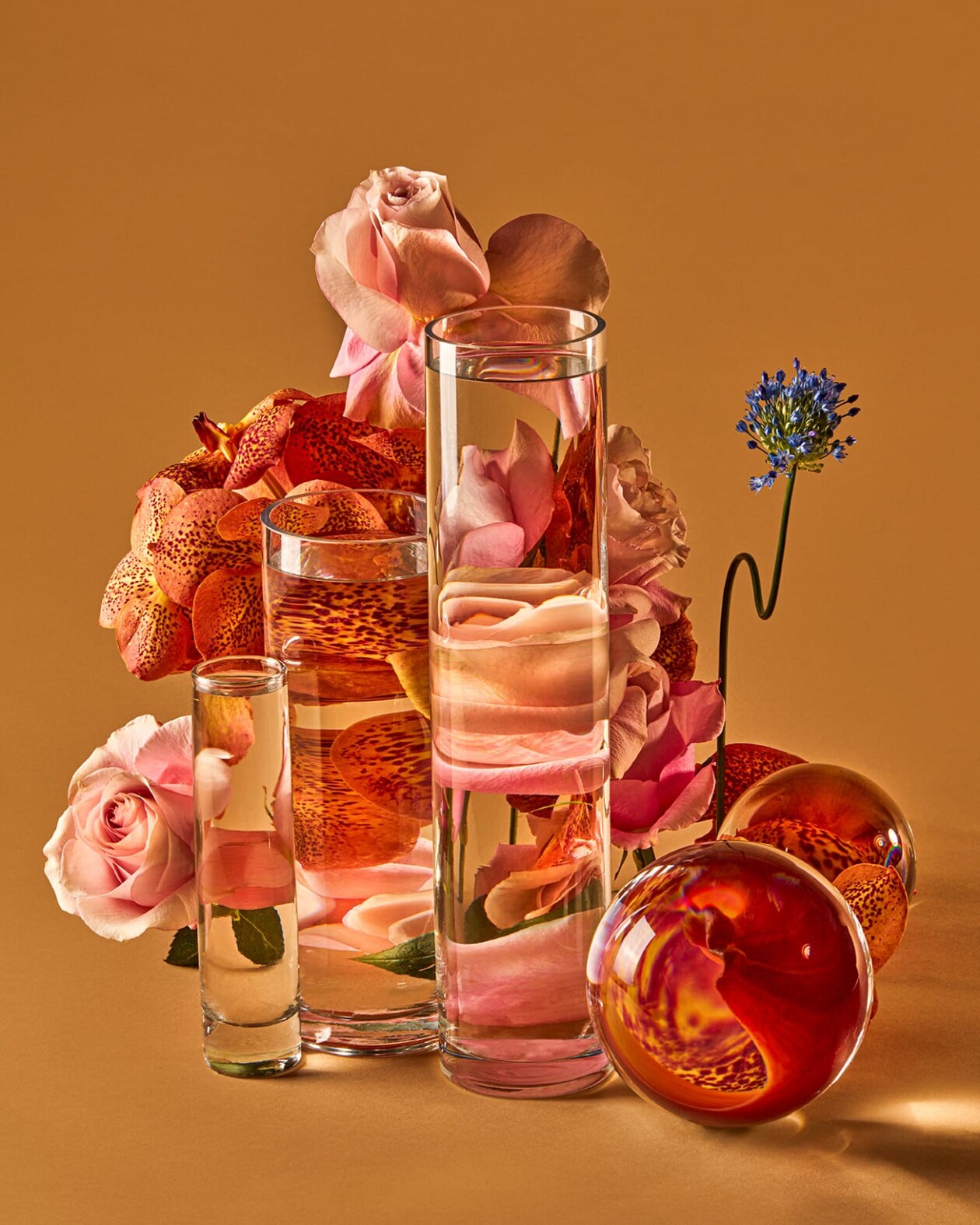 Perspective, Florals Distorted Through Water Vessels By Suzanne Saroff (1)
