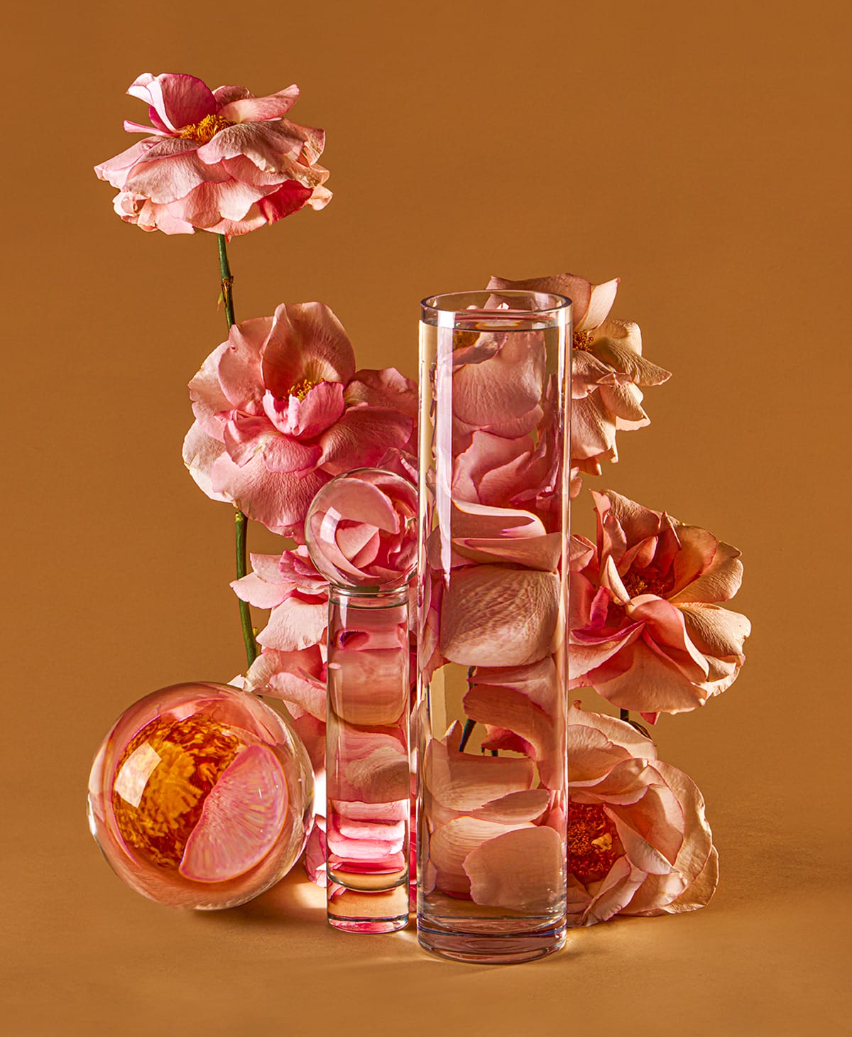 Perspective, Florals Distorted Through Water Vessels By Suzanne Saroff (3)
