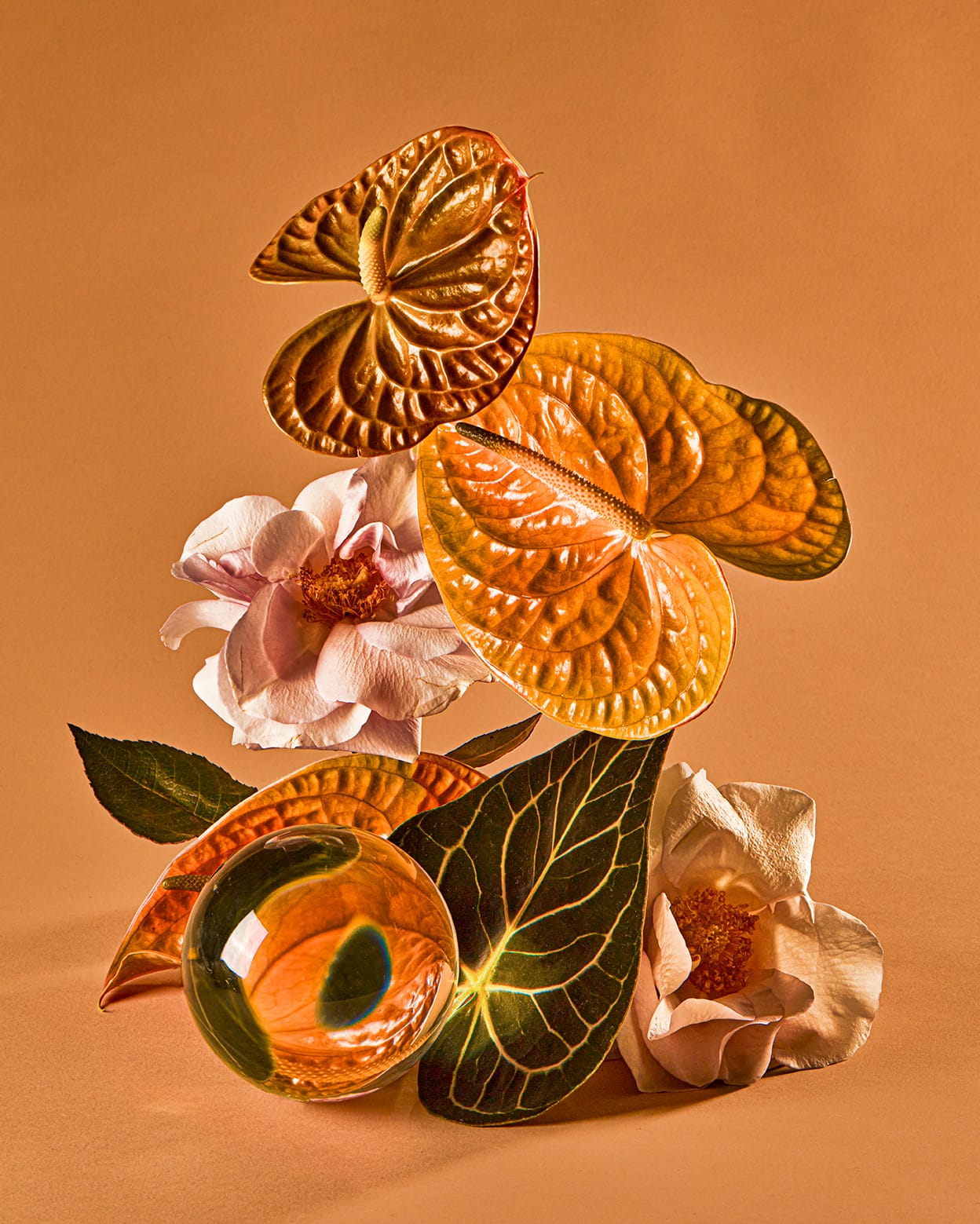 Perspective, Florals Distorted Through Water Vessels By Suzanne Saroff (6)