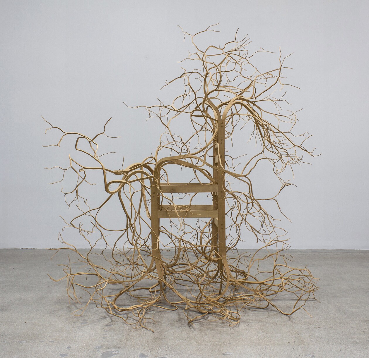 Roots And Branches, The Intriguing Sculptural Wooden Furniture Of Pontus Willfors (4)