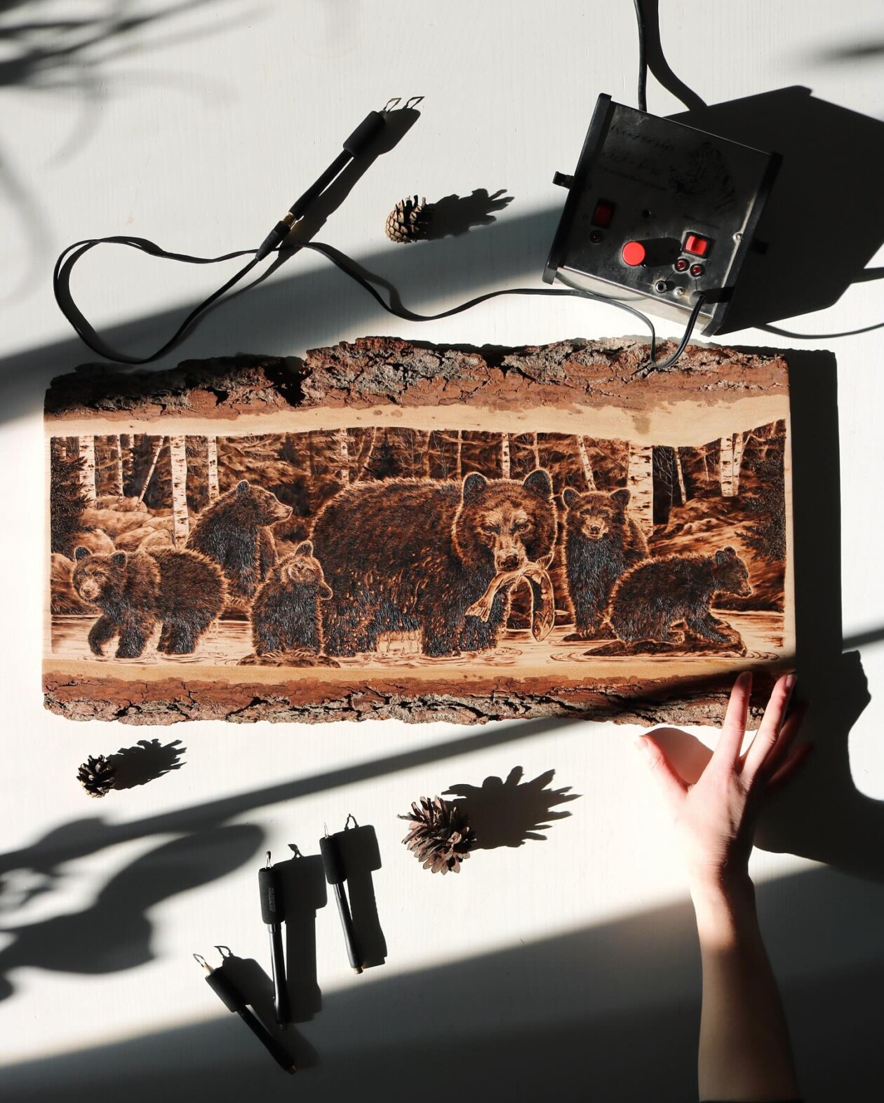 The Bold And Intricate Pyrography Of Court O'reilly (14)