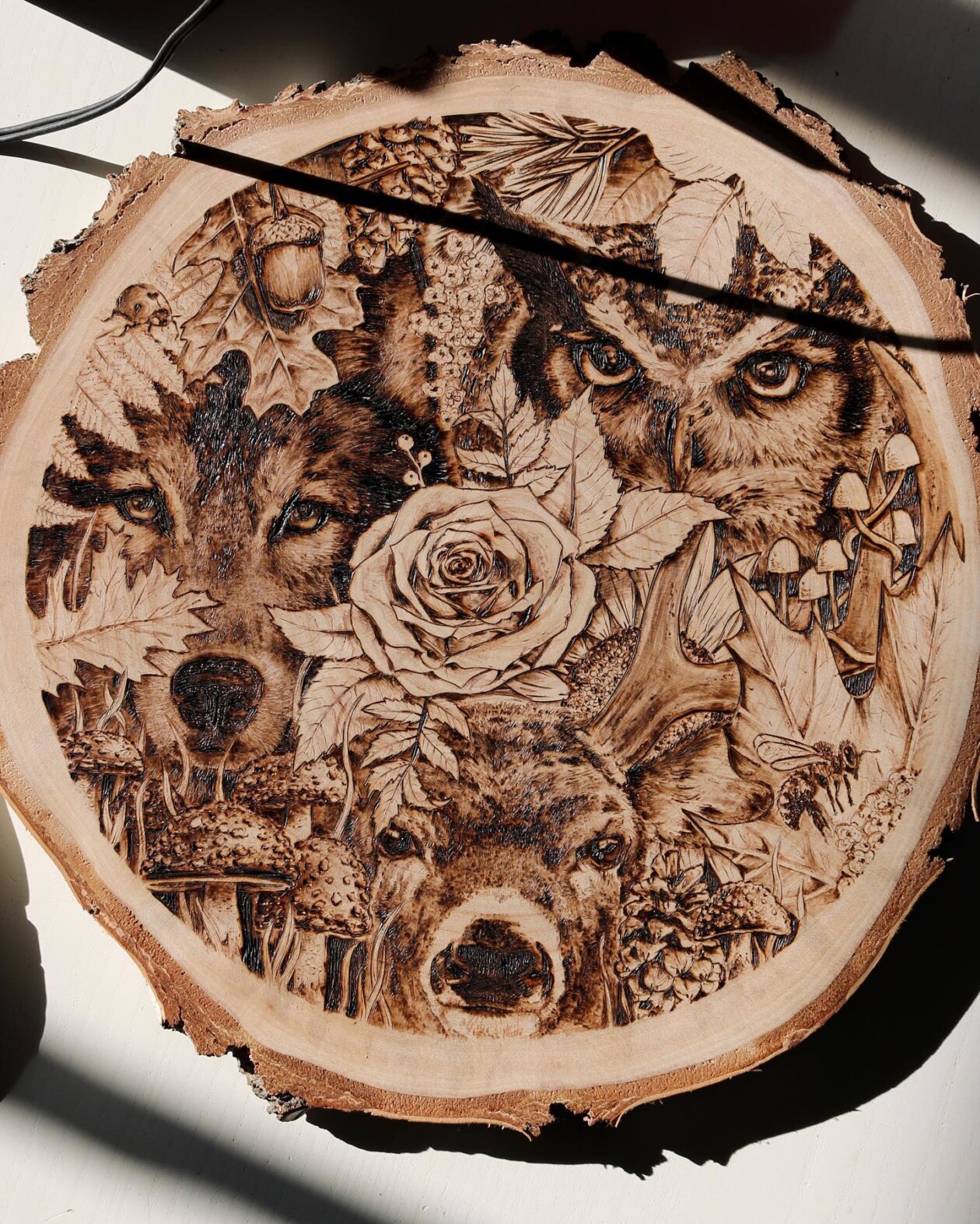 The Bold And Intricate Pyrography Of Court O'reilly (6)