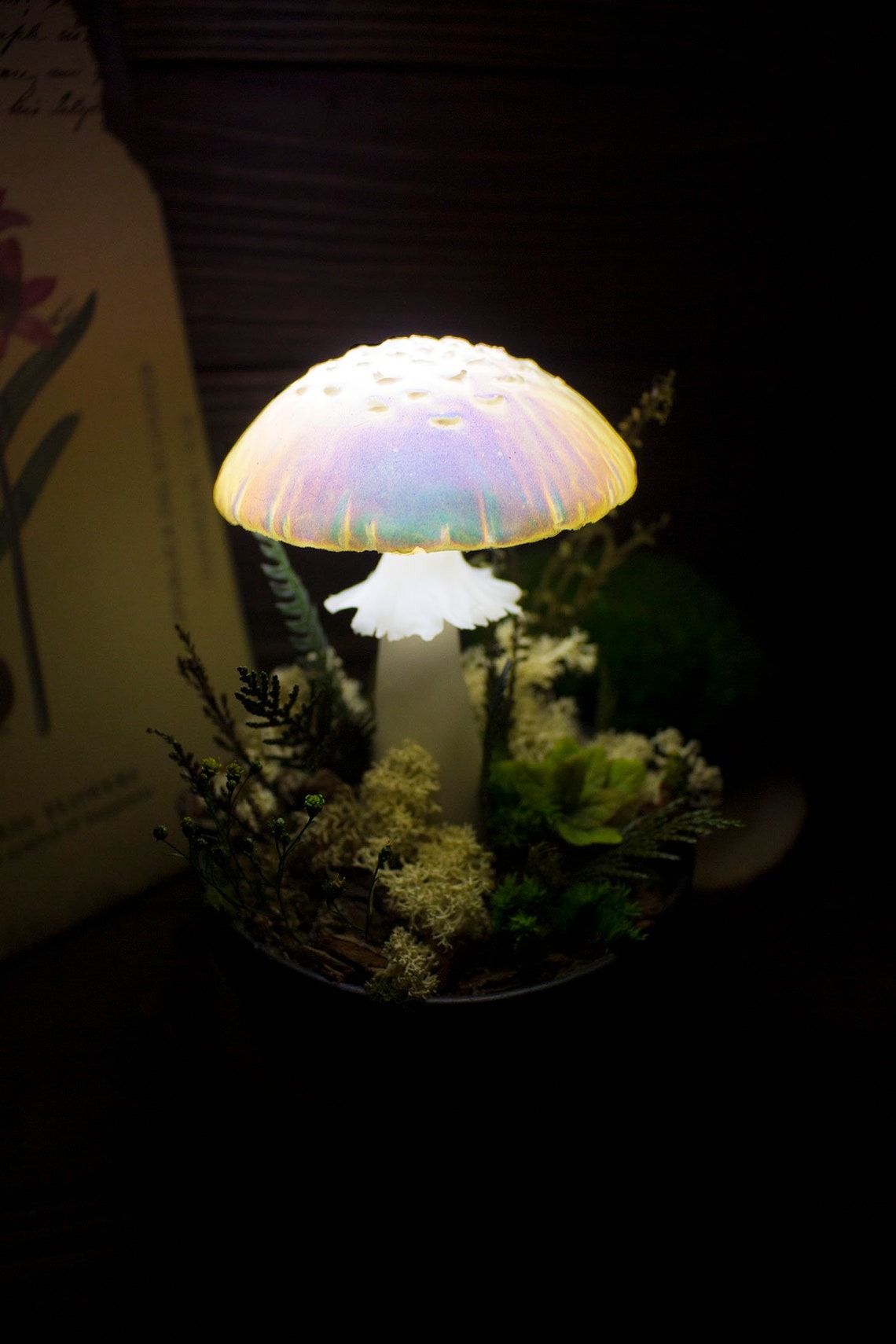 Wonderful Mushroom Lamps With Vivid Colors By Katya Sneg (15)