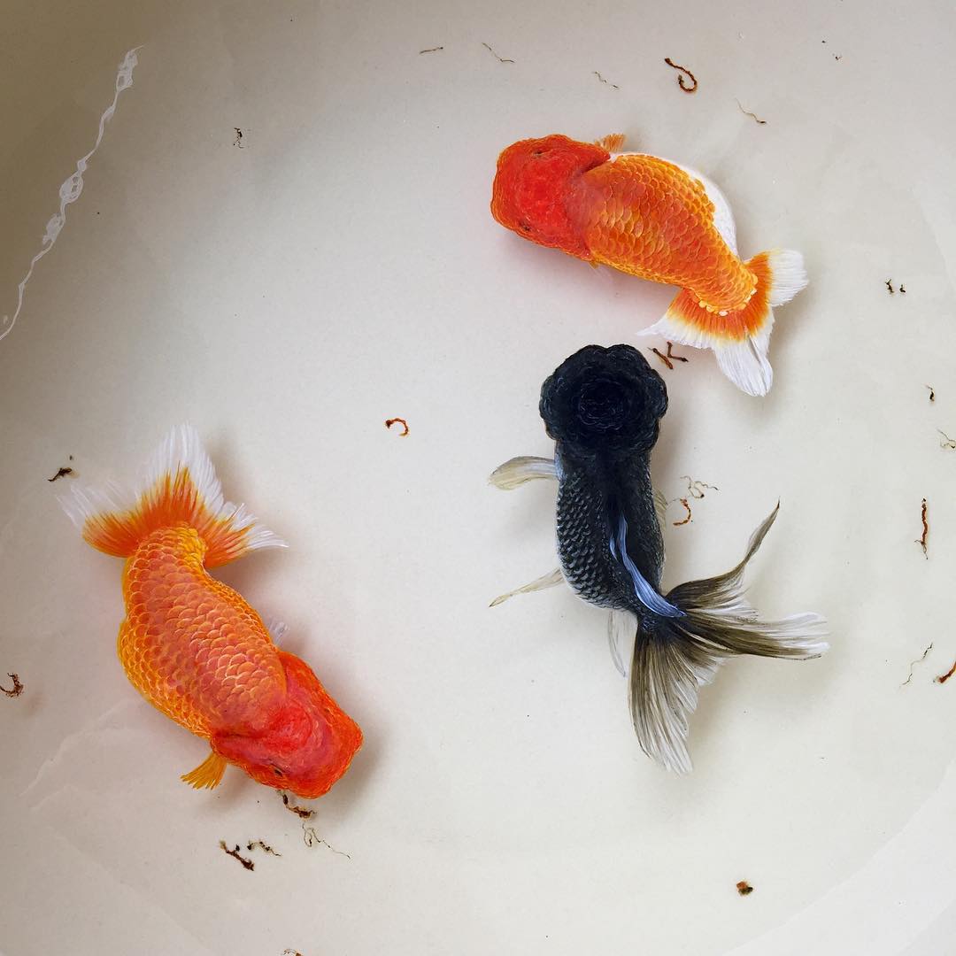 Alive Without Breath, 3d Animals Painted In Layers Of Resin By Keng Lye (7)