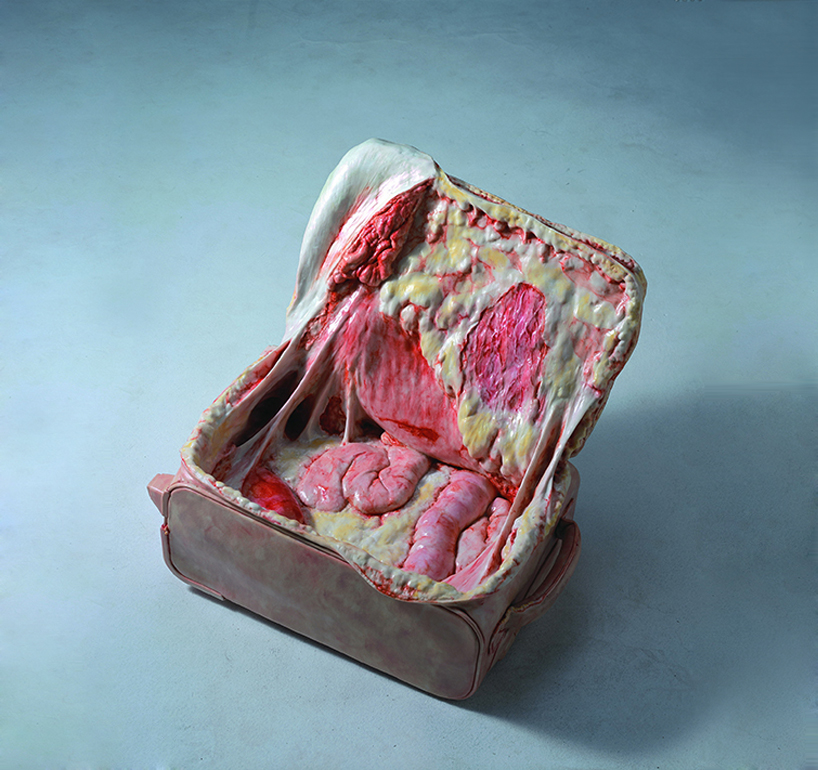 Cao Hui Reveals The Visceral Internal Side Of Objects As If They Were Living Beings (3)