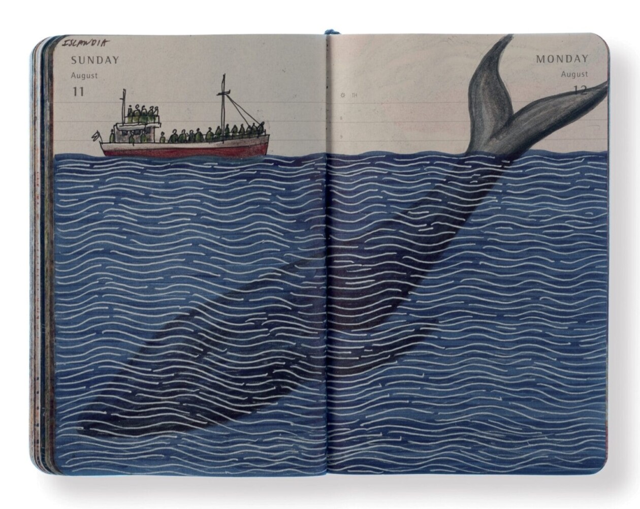 Enigmatic World, Thousands Of Daily Diary Drawings By Pep Carrió (4)