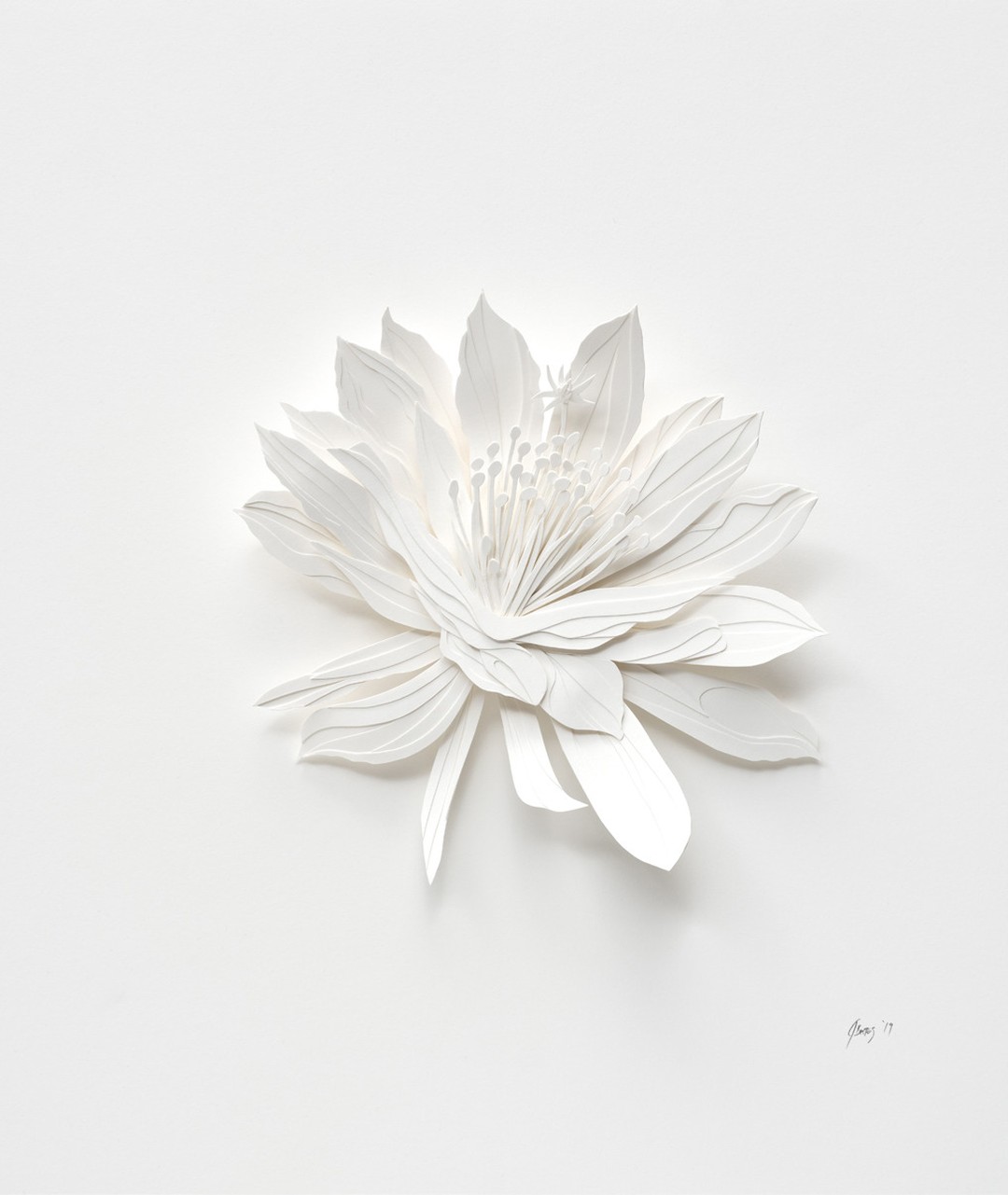 Gorgeously Intricate Floral Paper Cutting Sculptures By Joey Bates (11)