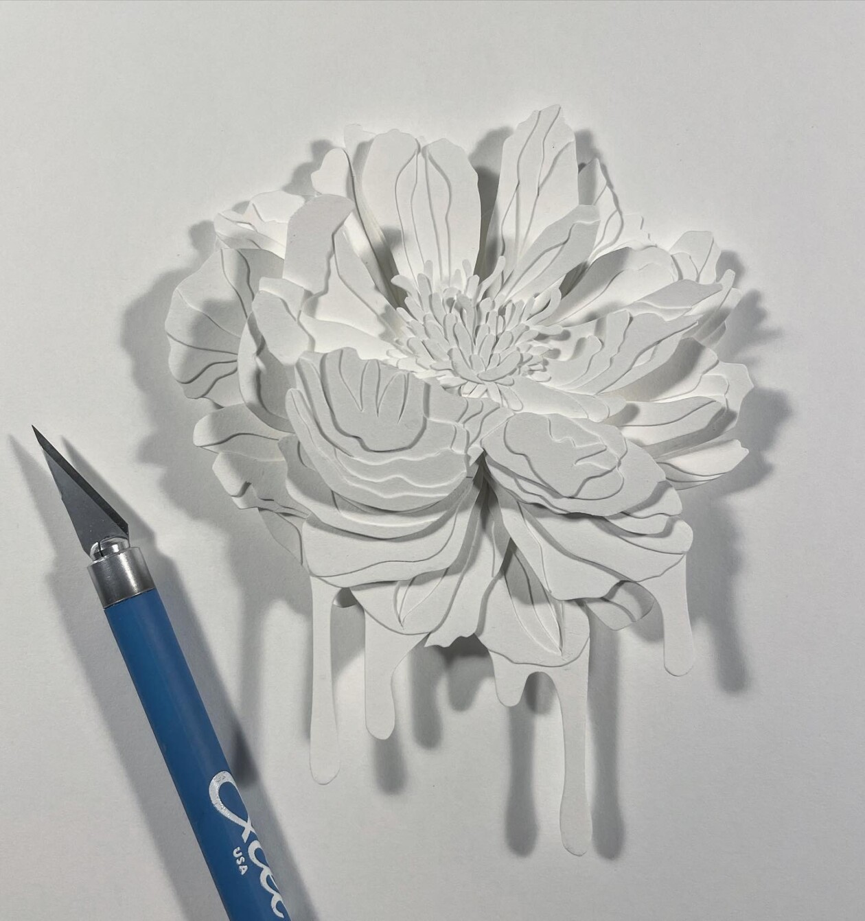 Gorgeously Intricate Floral Paper Cutting Sculptures By Joey Bates (12)