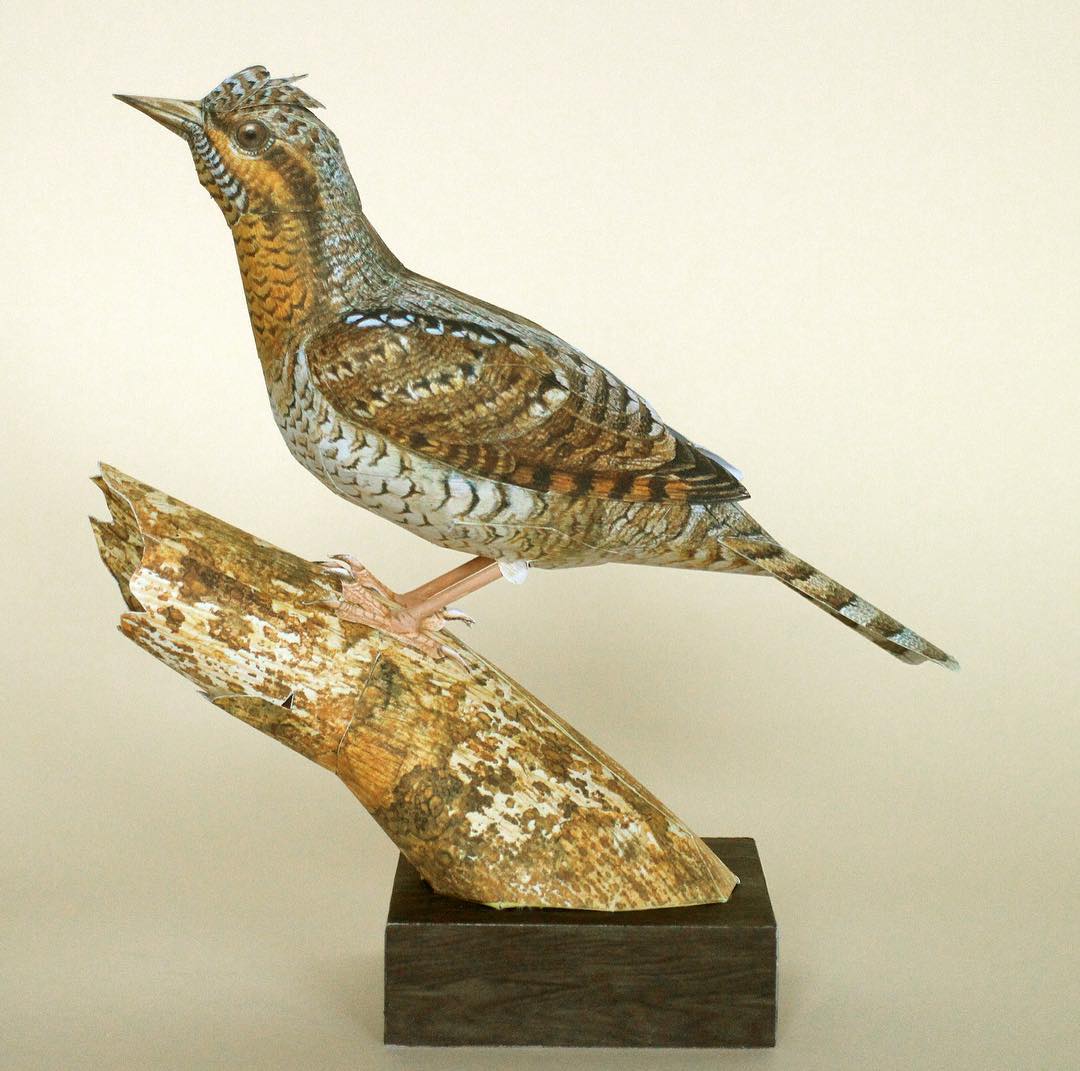 Hyper Realistic Bird Sculptures Made From Paper And Watercolor Paint By Johan Scherft (2)