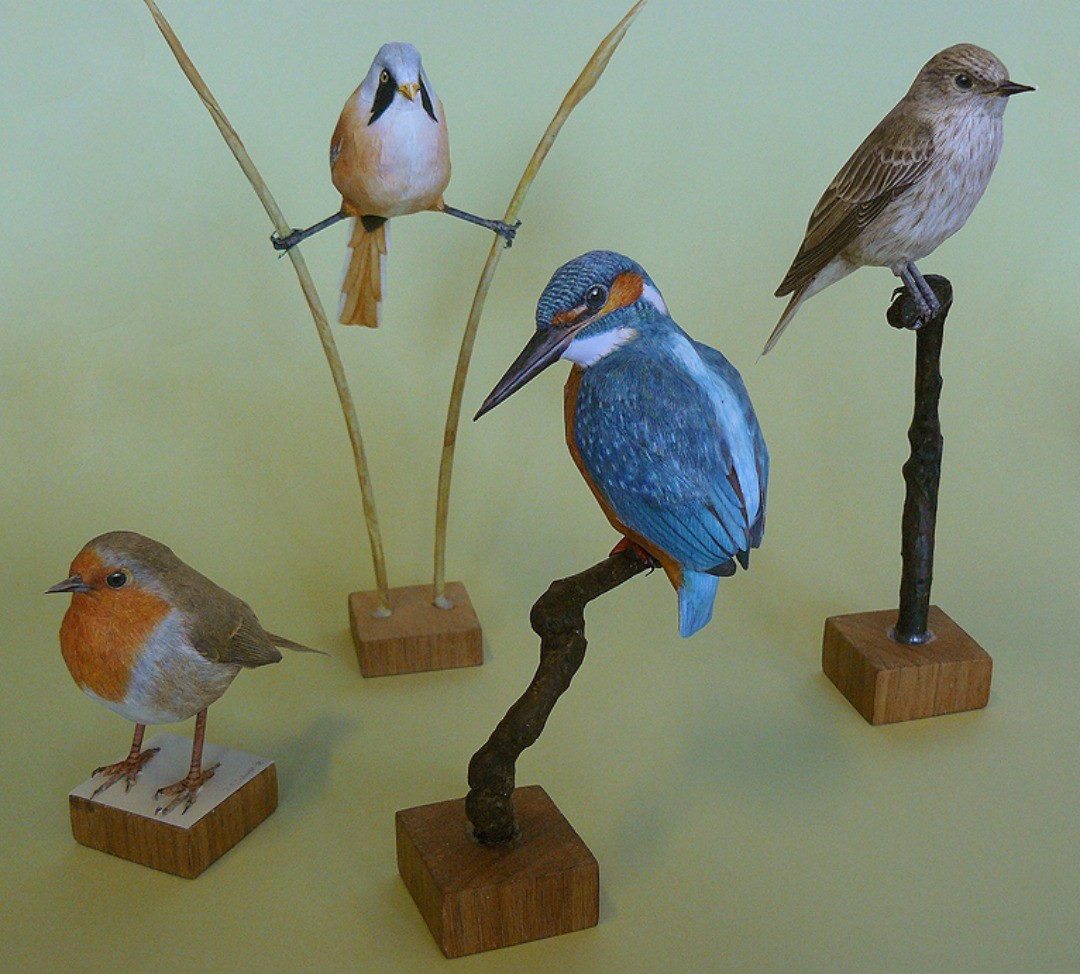 Hyper Realistic Bird Sculptures Made From Paper And Watercolor Paint By Johan Scherft (3)