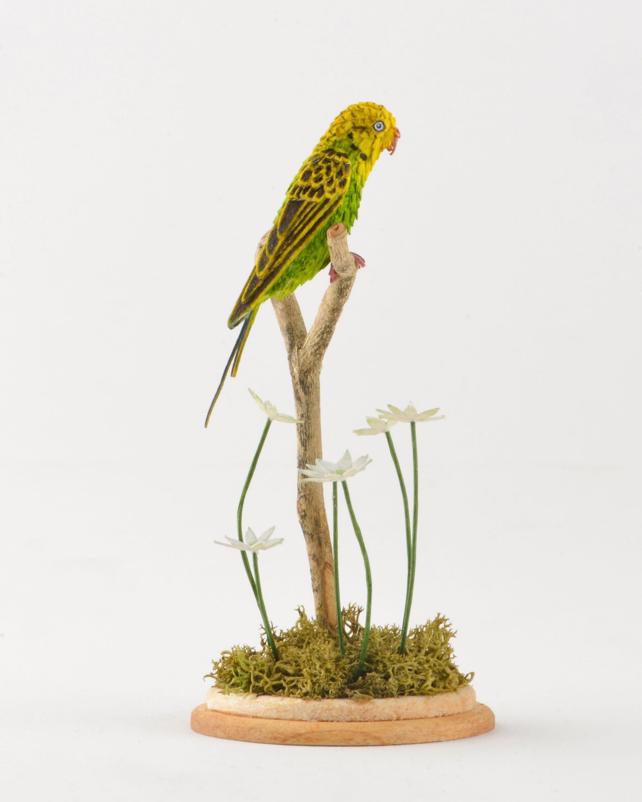 Miniature Bird Paper Sculptures With Whimsical Details By Nayan And Venus (9)