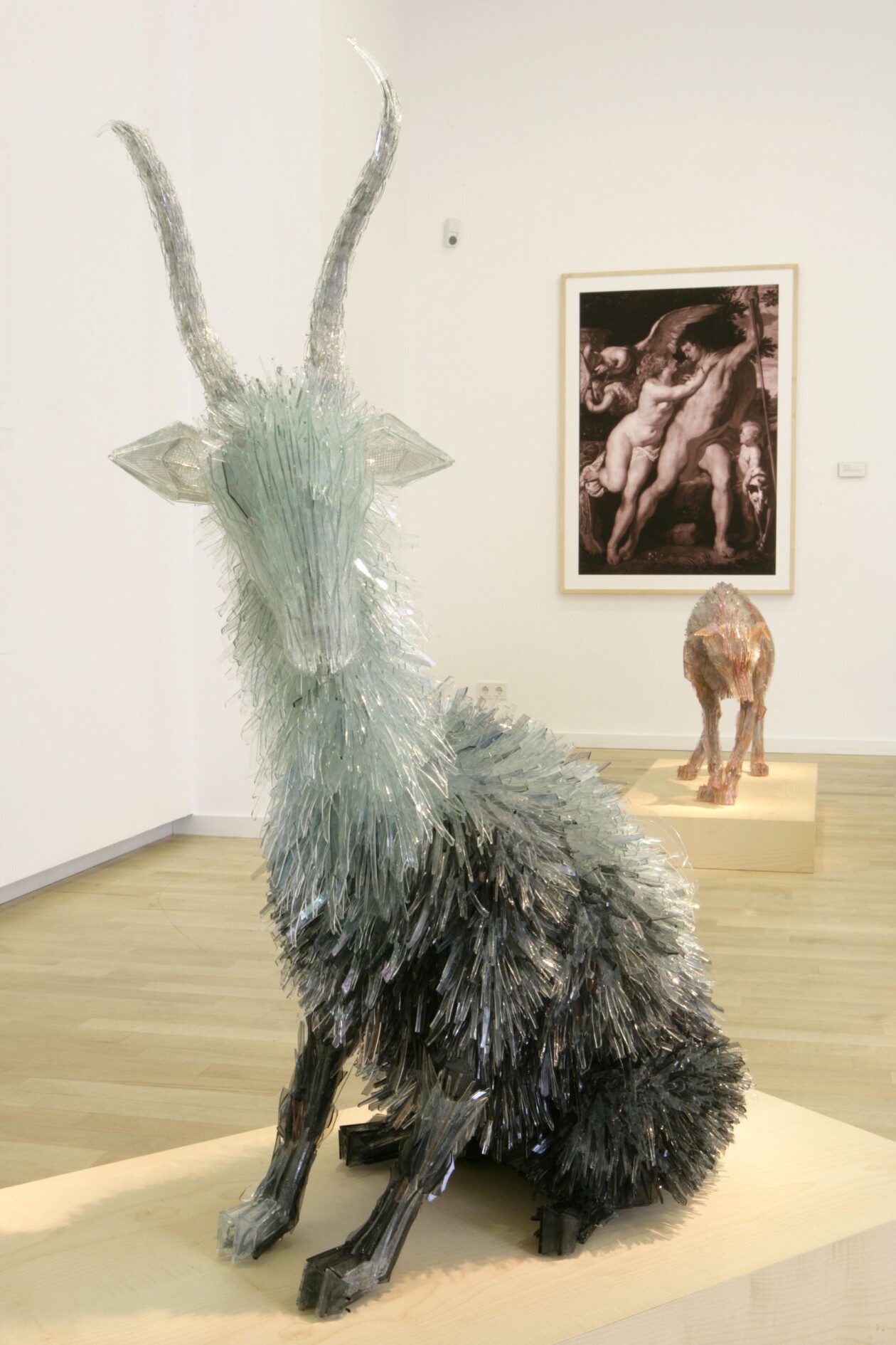 Shattered Glass Animal Sculptures By Polish Artist Marta Klonowska (13)