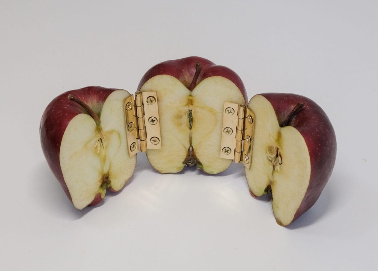 Smart And Playful Sculptures Carved Out Of Apples By Chinese Artist Can Sun (6)