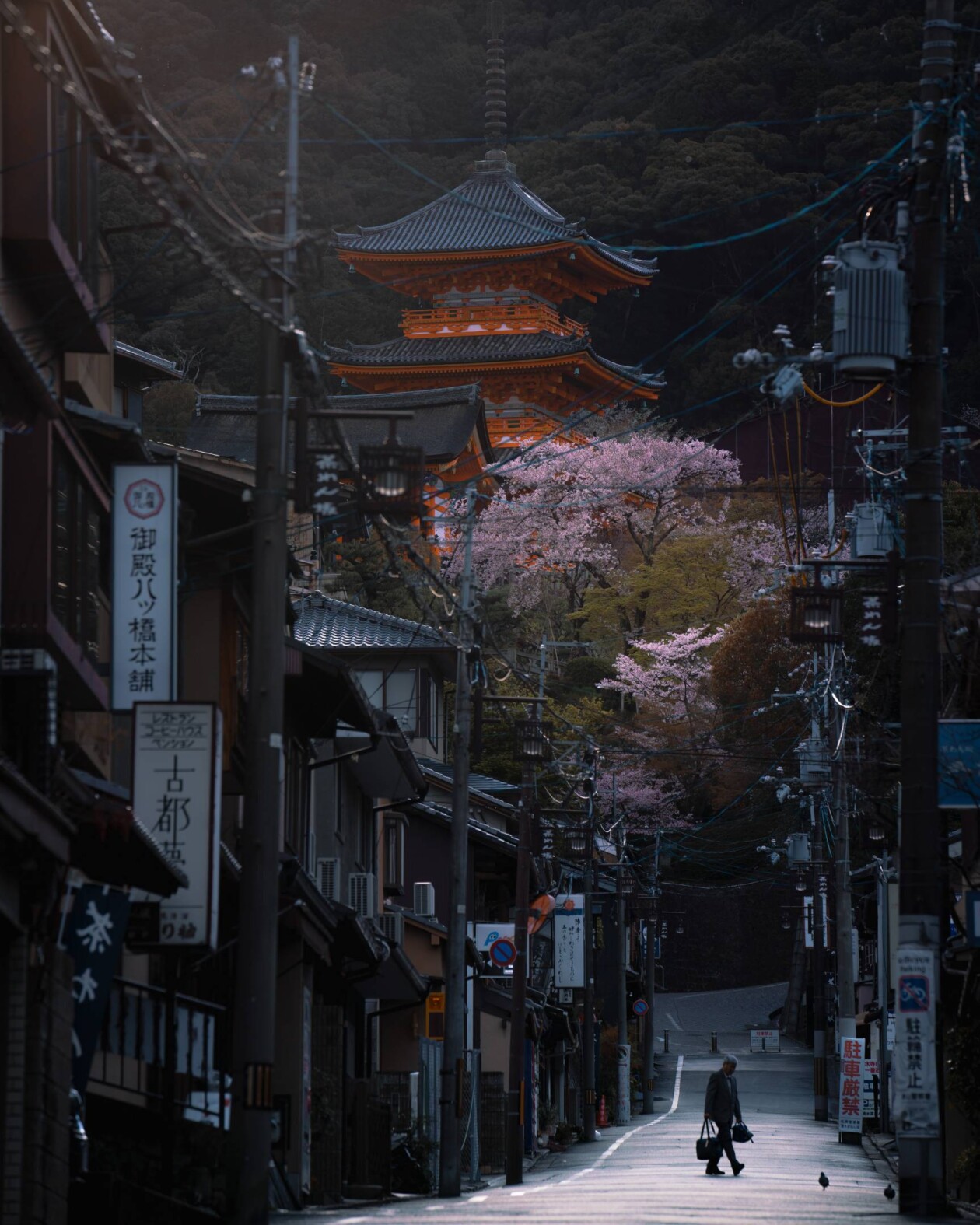 Spring In Japan, A Urban Photography Series By Hisa Matsumura (10)