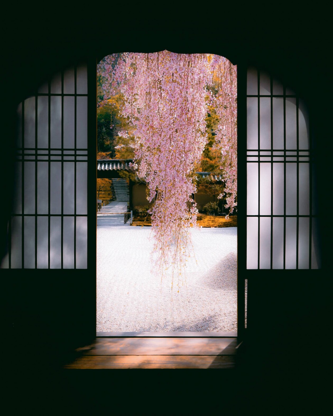 Spring In Japan, A Urban Photography Series By Hisa Matsumura (12)