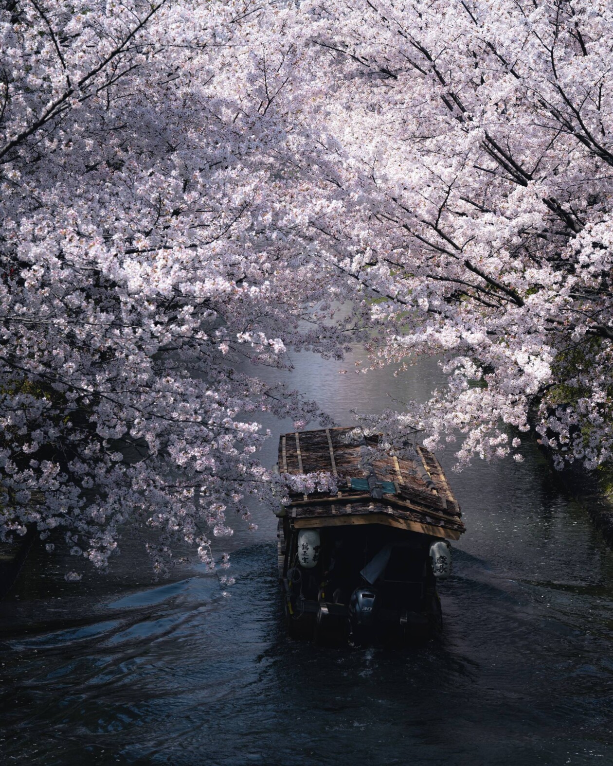 Spring In Japan, A Urban Photography Series By Hisa Matsumura (14)