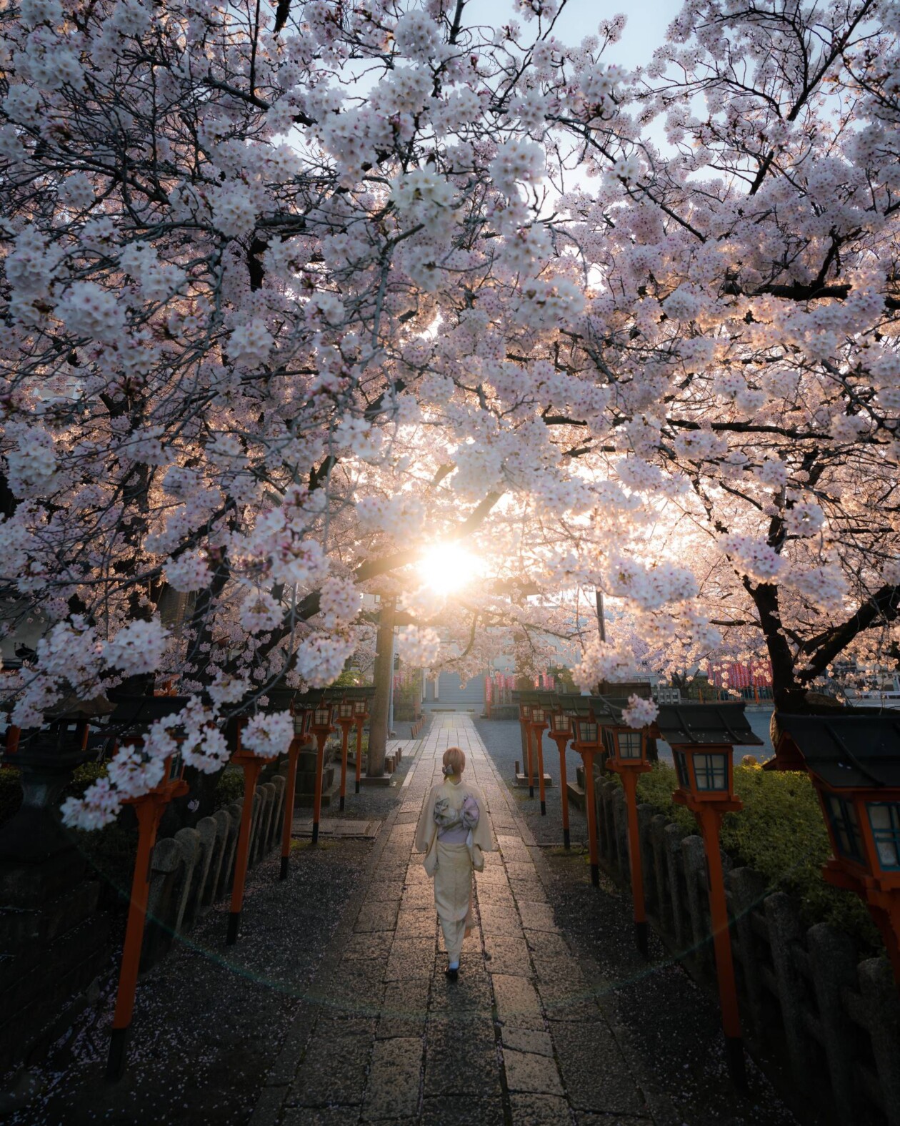 Spring In Japan, A Urban Photography Series By Hisa Matsumura (3)