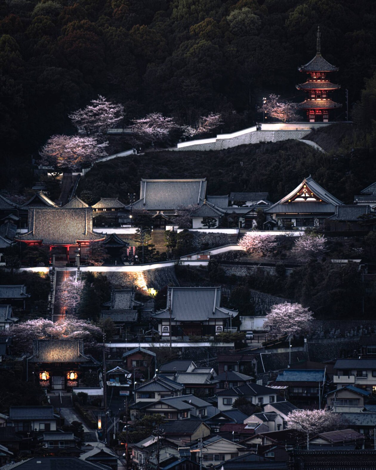 Spring In Japan, A Urban Photography Series By Hisa Matsumura (4)
