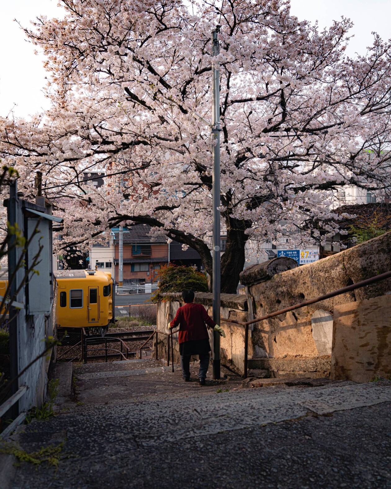 Spring In Japan, A Urban Photography Series By Hisa Matsumura (6)